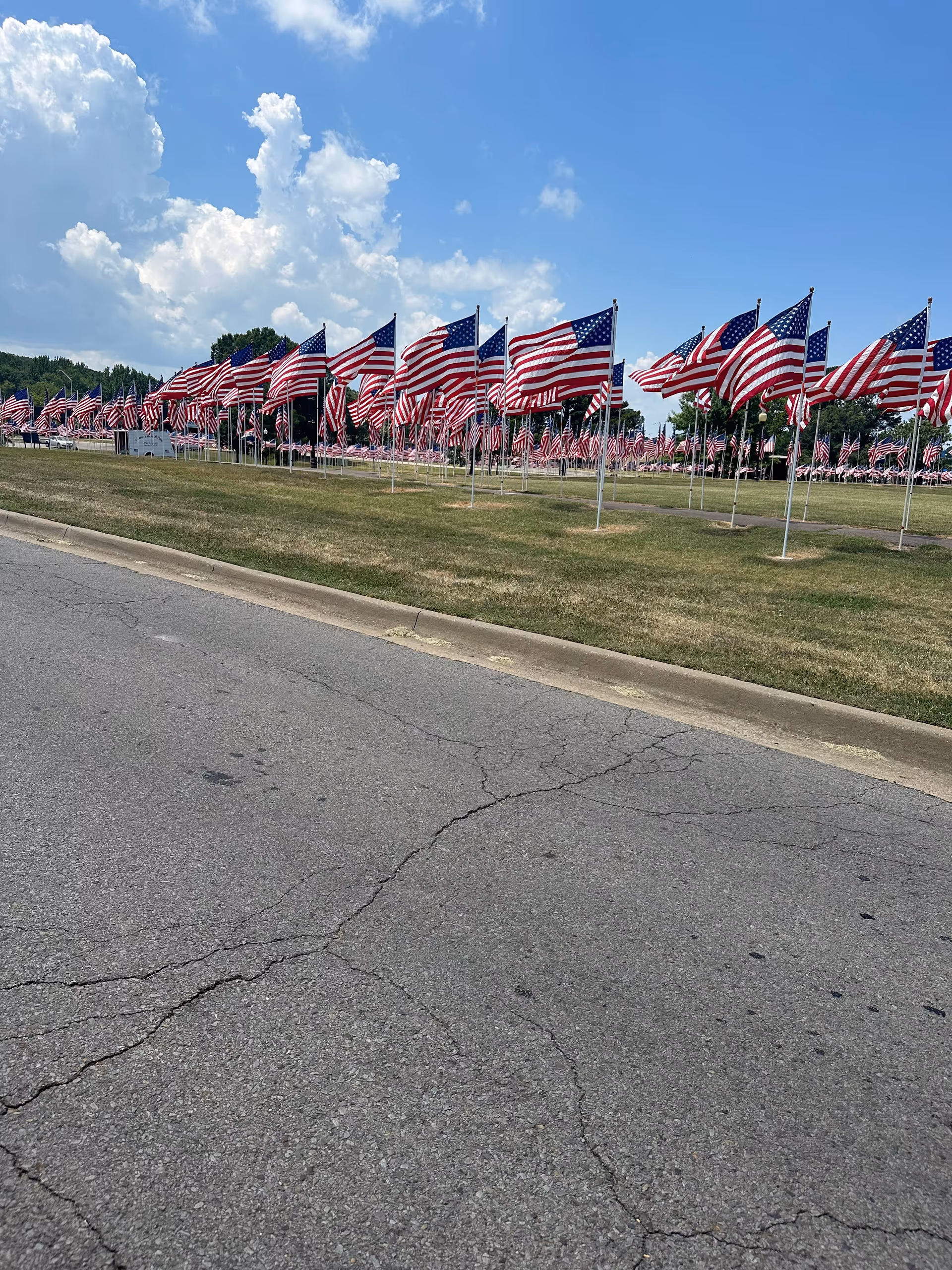 Row of American flags on poles along a grassy roadside under a bright blue sky with clouds.