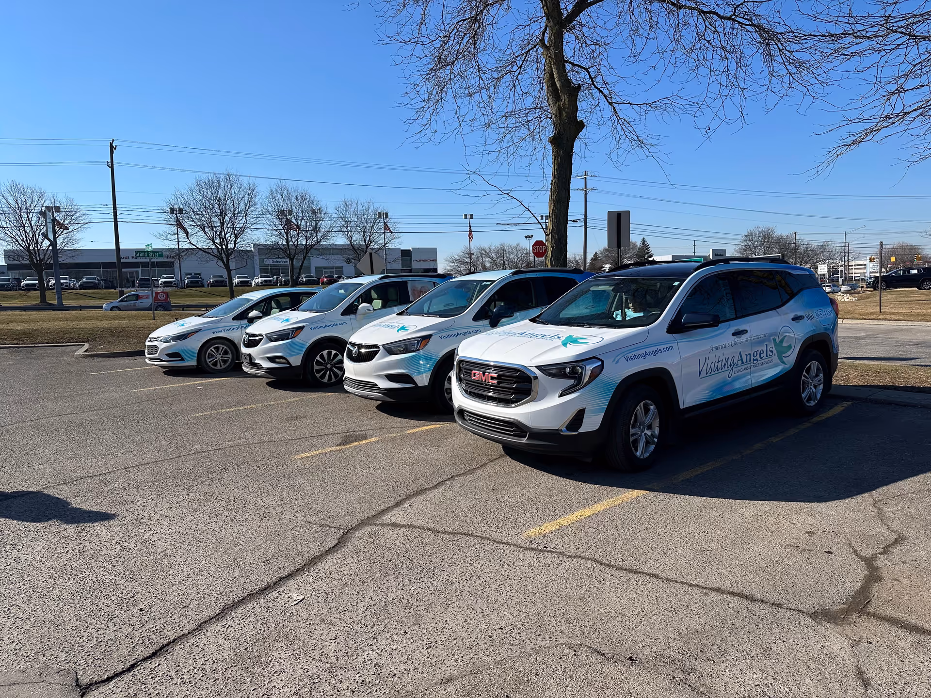 Multiple white Visiting Angels vehicles parked in a sunny exterior parking lot.