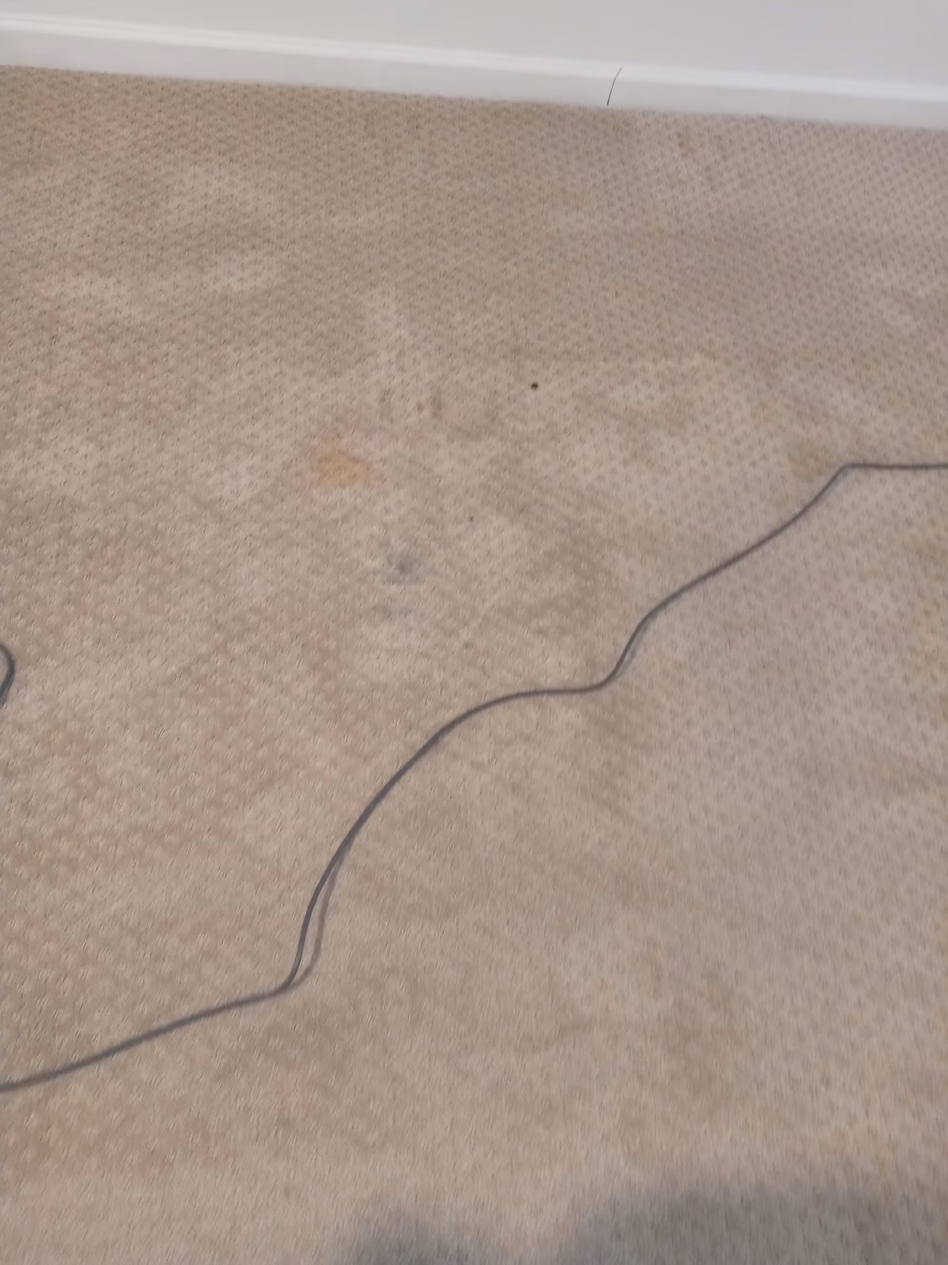Close-up of beige carpet with a cord running across the floor indoors.