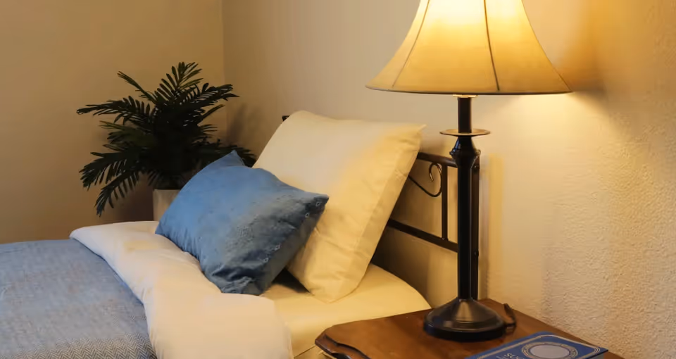 A neatly made bedroom with a bed, pillows, a lamp, and a potted plant.