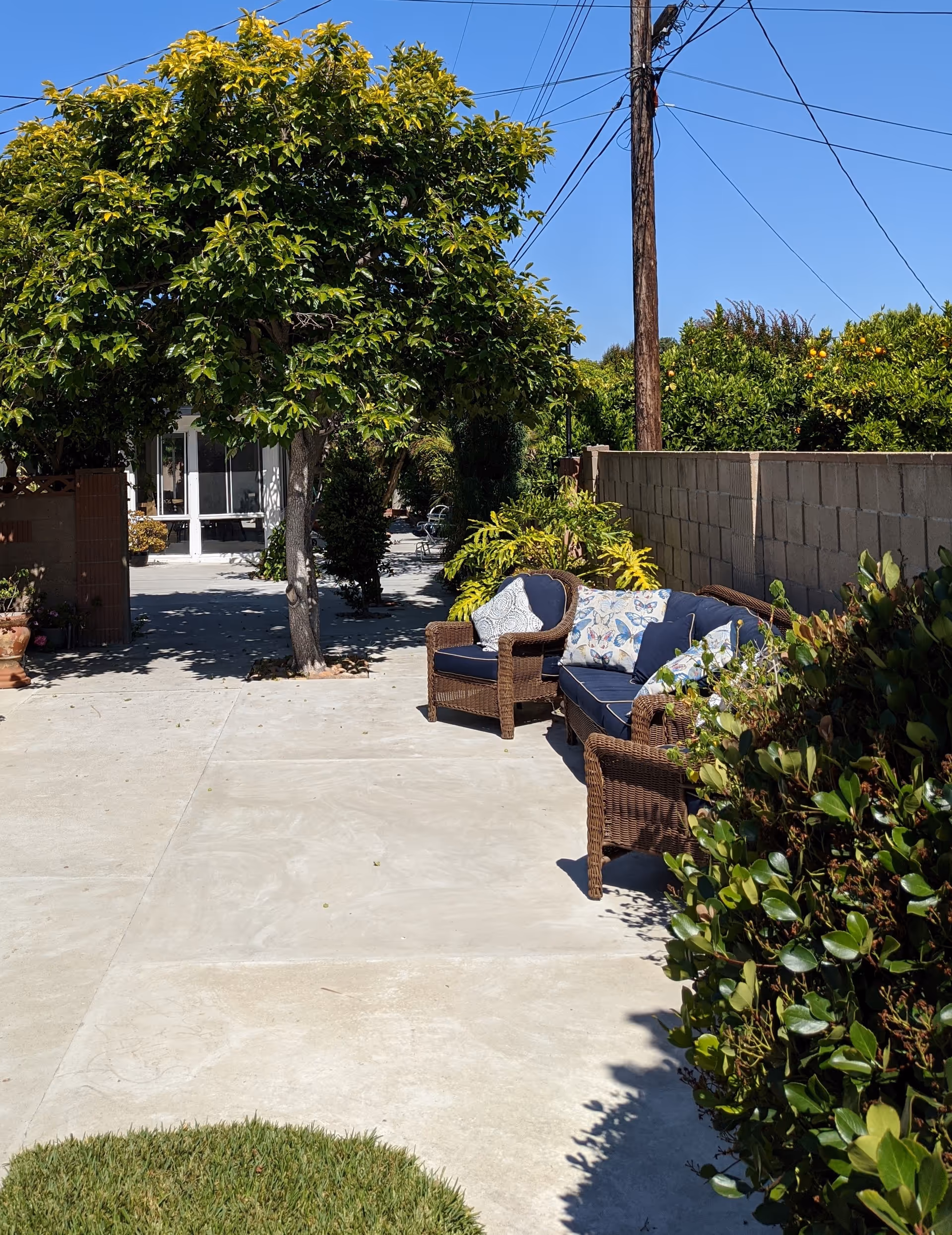 Outdoor patio area with wicker furniture including a sofa and chairs with cushions and pillows. There is a concrete pathway, green bushes, a tree providing shade, and a clear blue sky overhead. A brick wall and power lines are visible in the background.