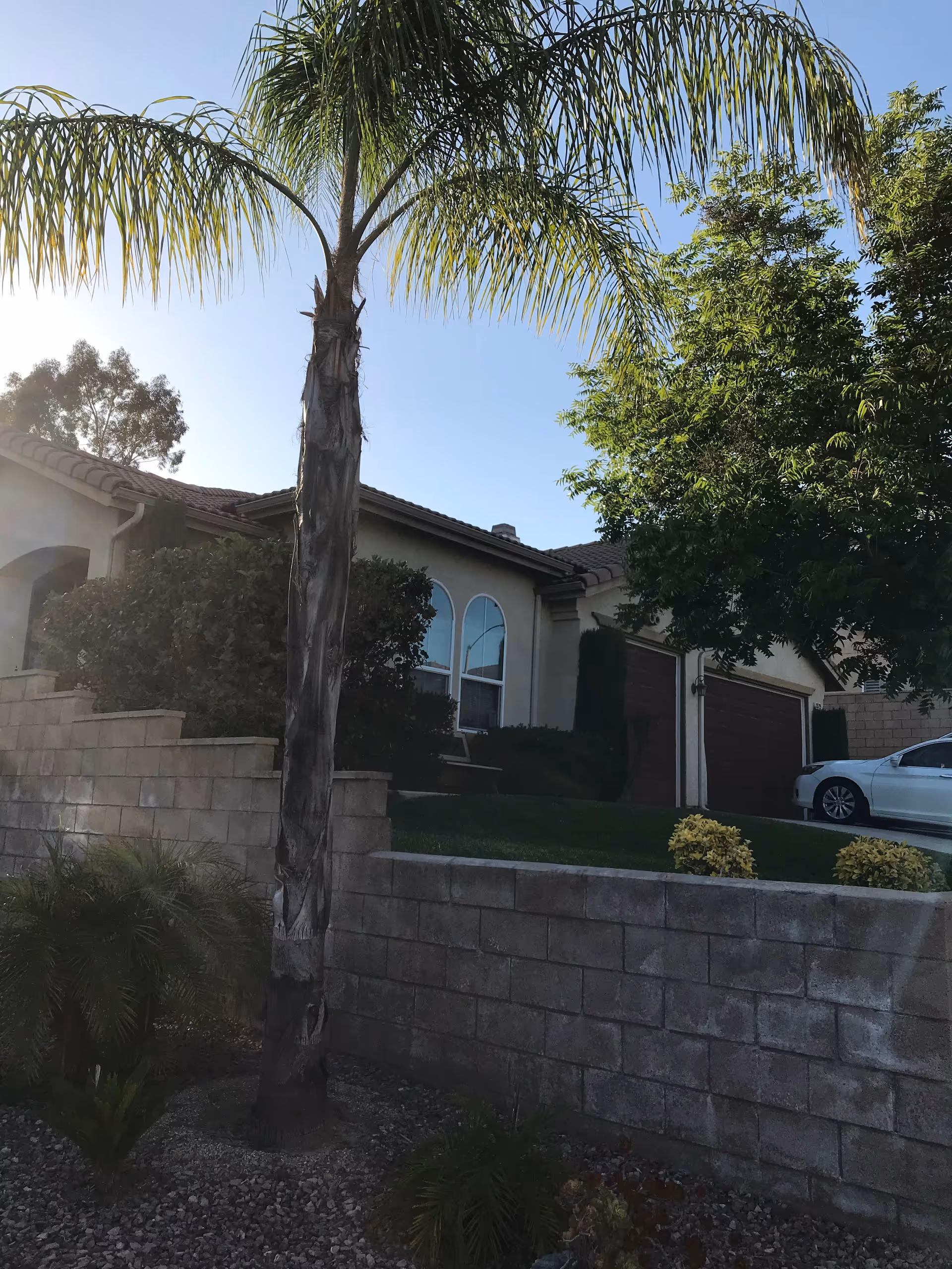 Single-story house front with a tall palm tree, a brick retaining wall, garage doors, and a white car in the driveway.
