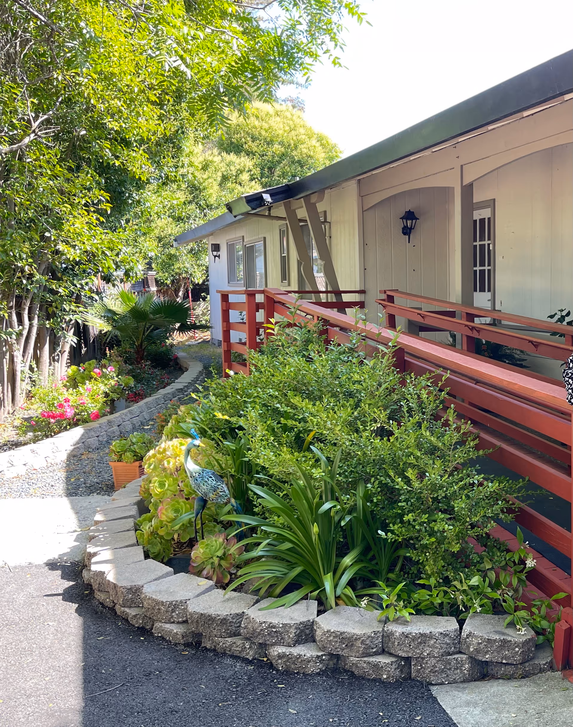 Exterior view of a single-story senior care home with a landscaped front garden and walkway.