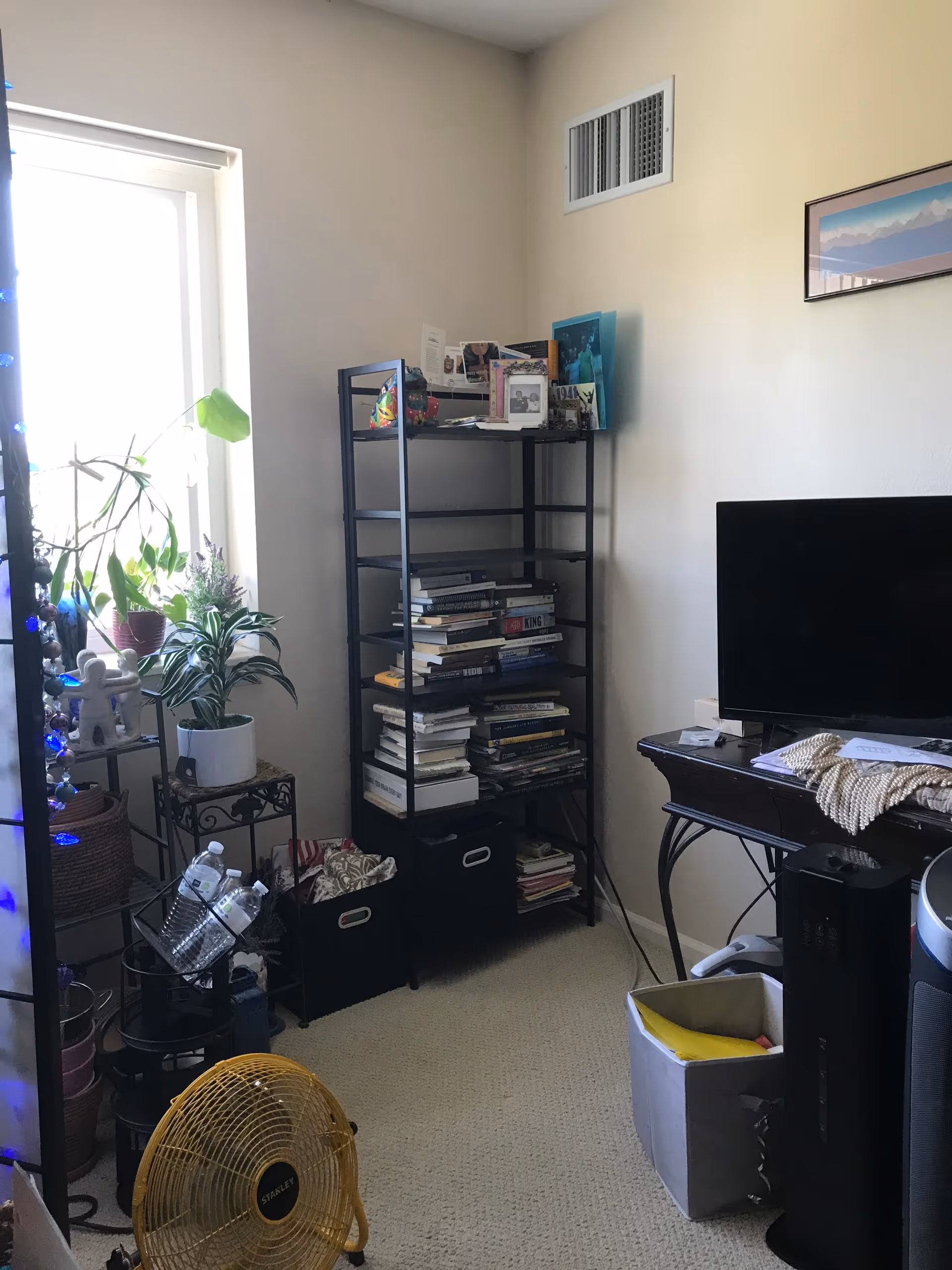 Living room corner with a bookshelf, plants, a TV, and decorative items beside a window.