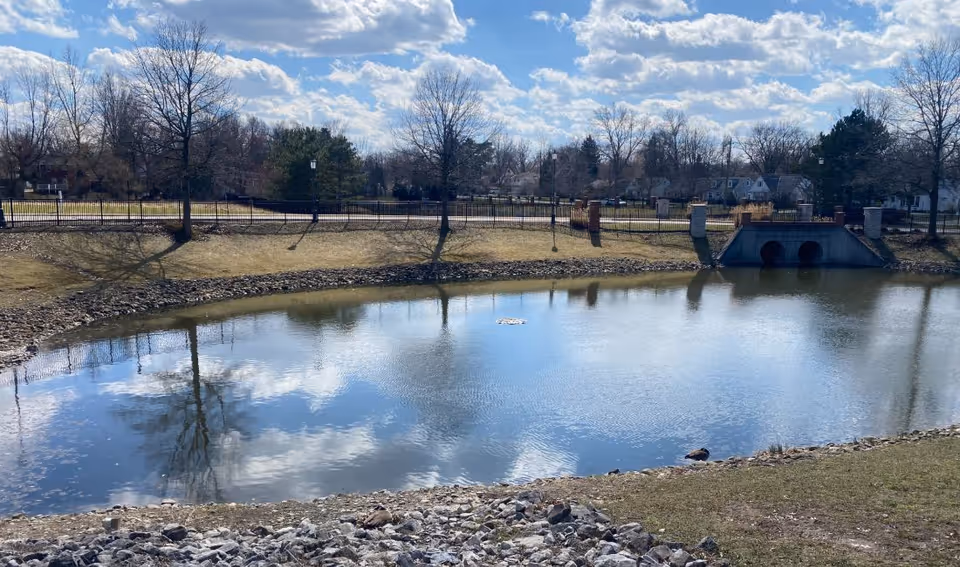Sunny outdoor scene featuring a pond, trees, and a fence along the waterway.