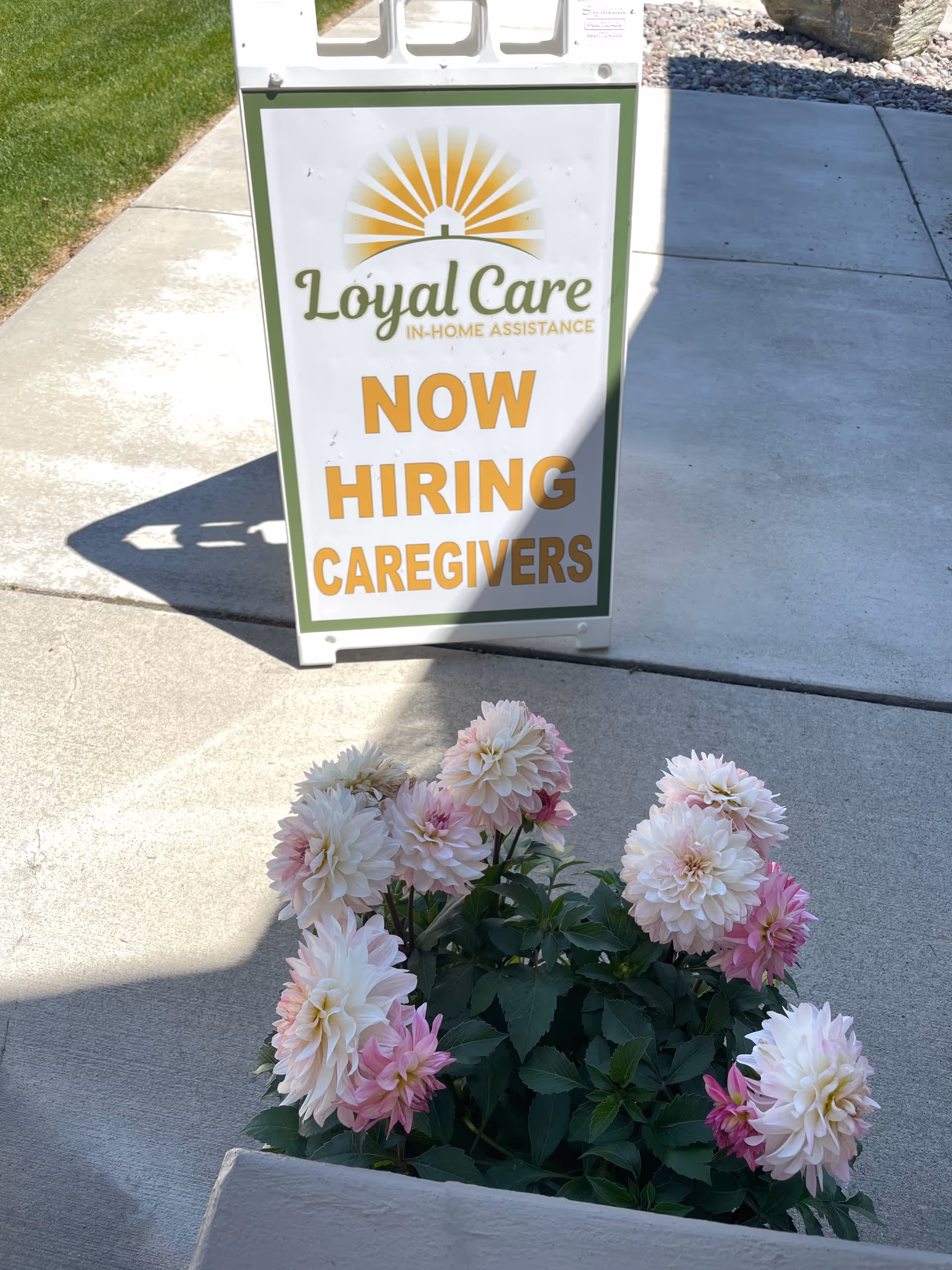 Sign for Loyal Care In-Home Assistance advertising 'NOW HIRING CAREGIVERS' beside pink flowers.