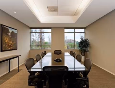 A modern conference room with a long glass table, chairs, windows, and a potted plant.