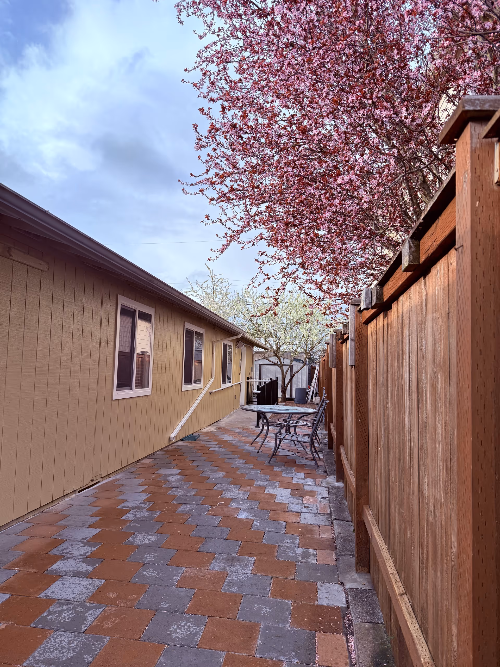 Outdoor courtyard between buildings with a tiled path, table and chairs under a pink flowering tree.