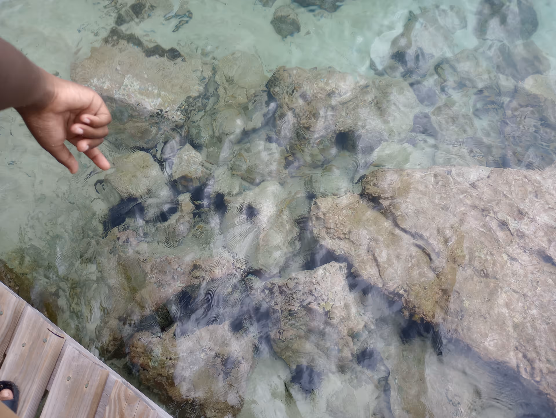 Hand reaching toward clear water over rocks beside a wooden deck.