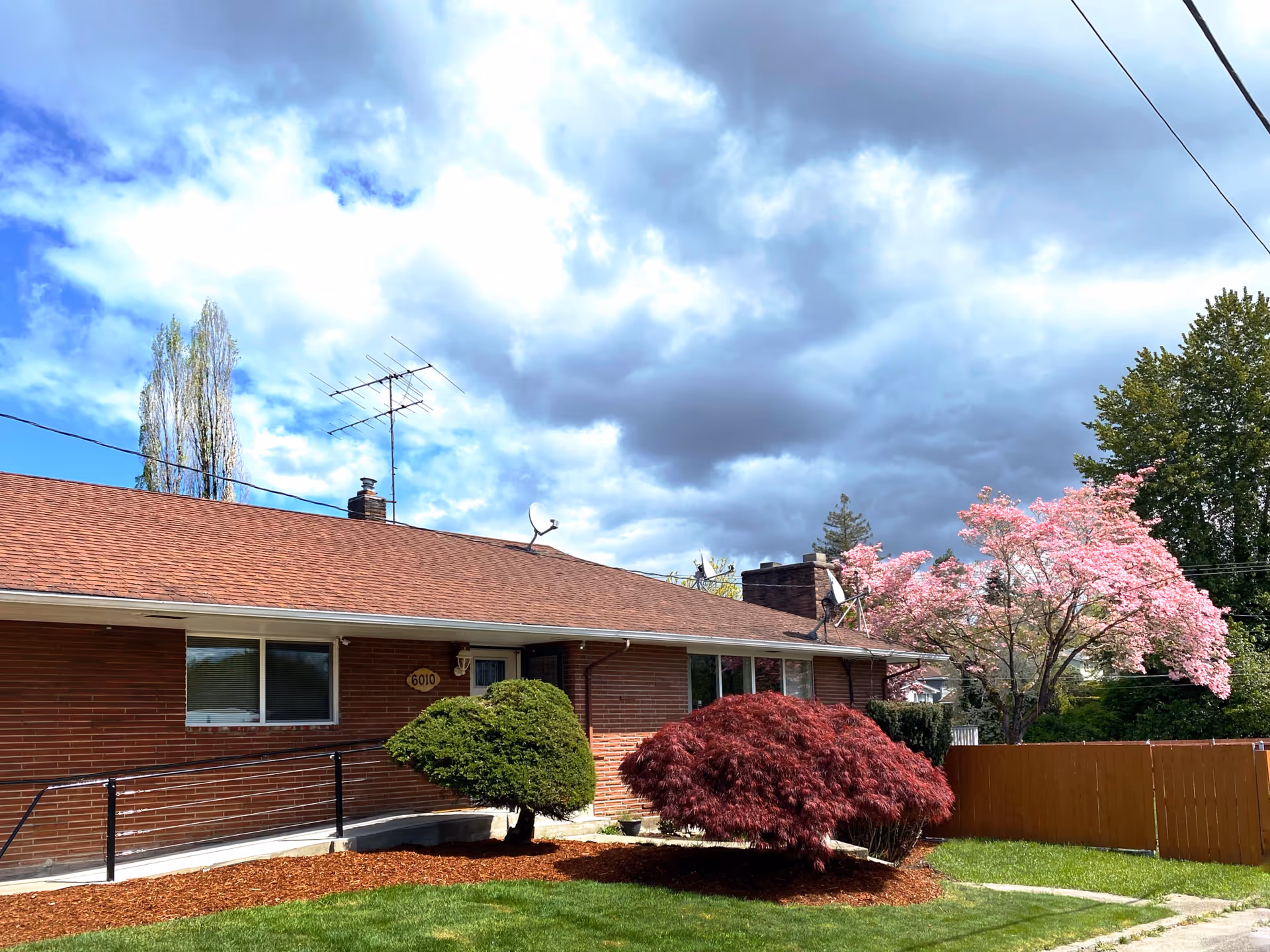 Single-story brick senior home with manicured shrubs and pink flowering trees at the front.