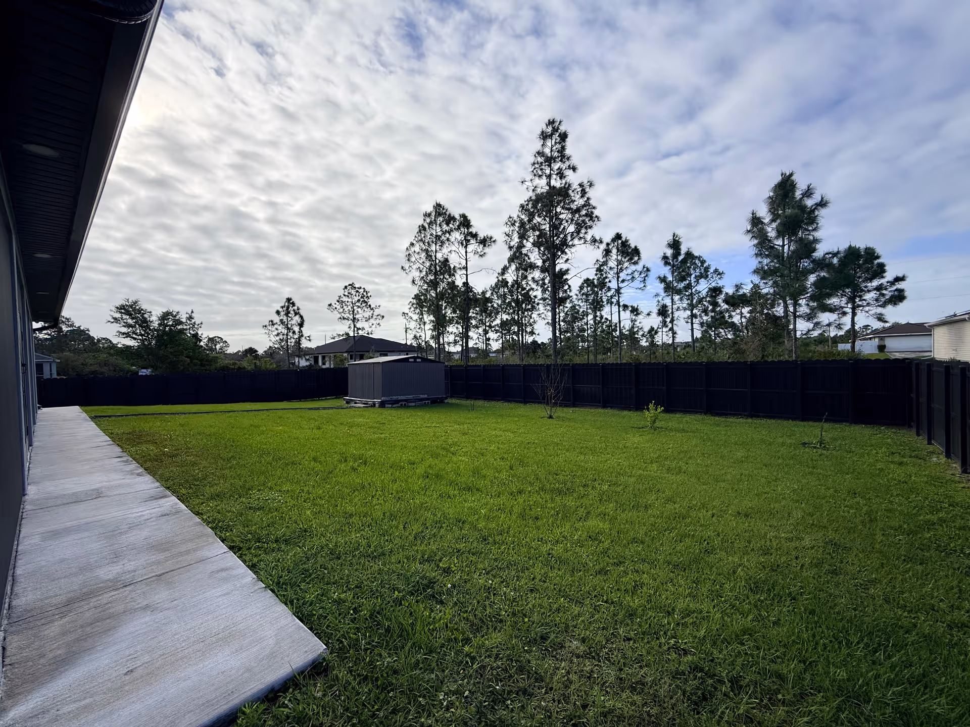 Grassy backyard beside a building, with a concrete path and tall trees beyond a black fence.