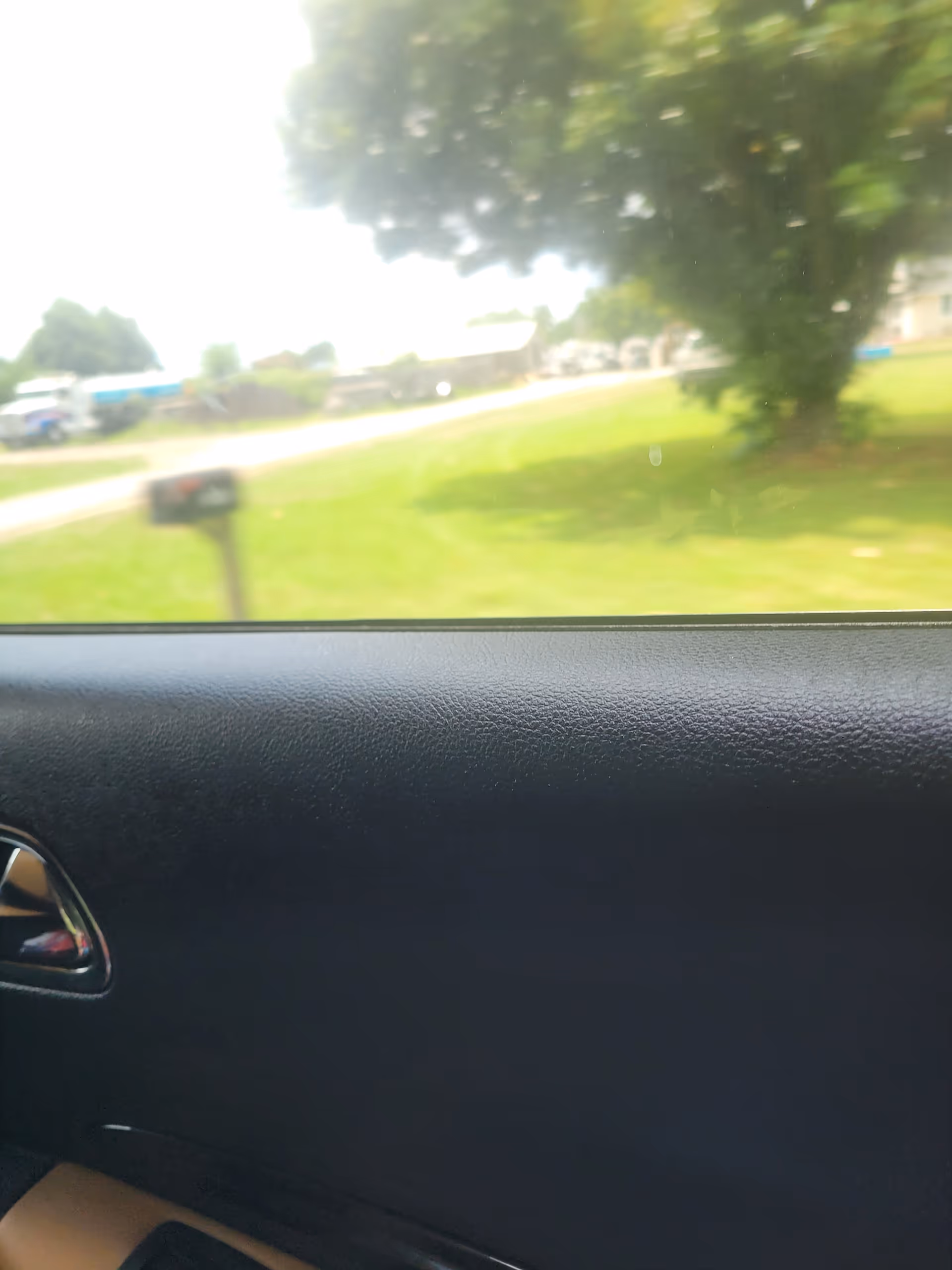 Car interior with blurred view of a grassy yard and trees outside the window.