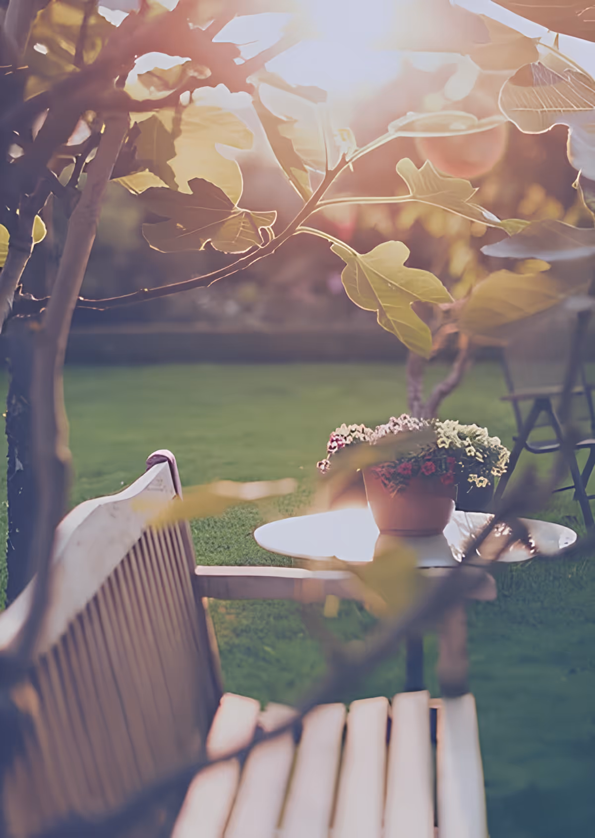 Sunlight shining through leaves over a wooden bench and a round table with a potted plant on a green lawn in an outdoor garden setting.