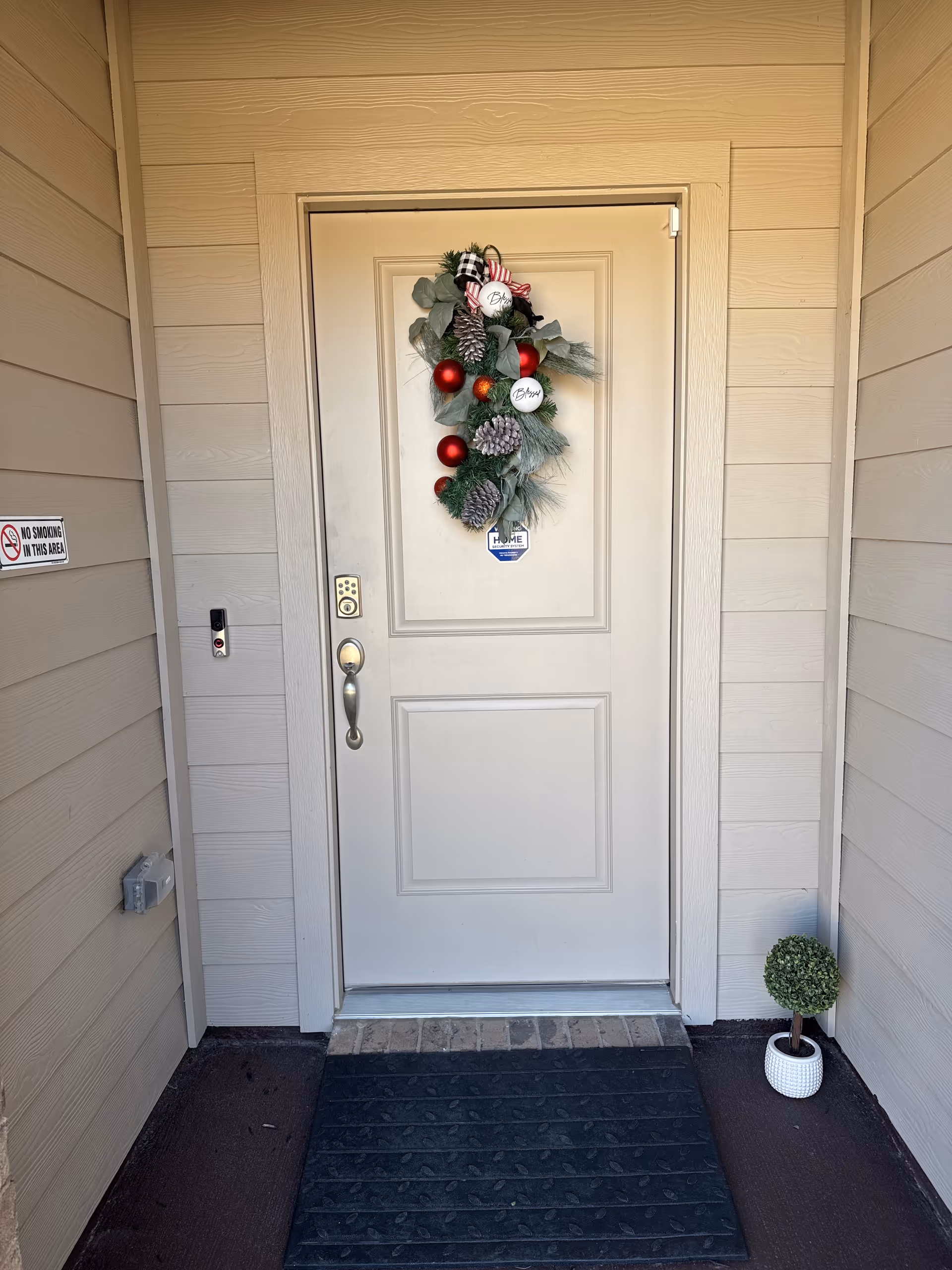 Front door of a residence with a Christmas wreath and small potted plant.