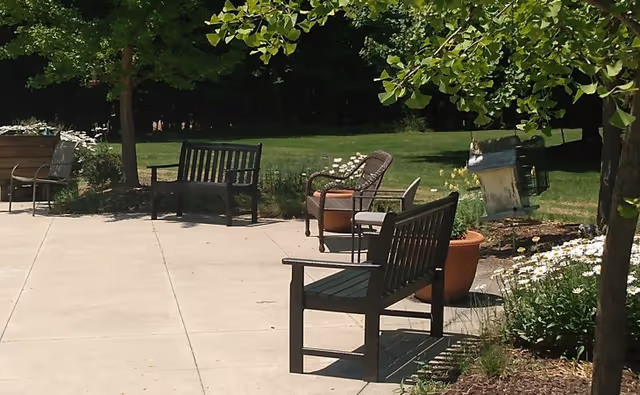 Outdoor patio area with wooden benches, chairs, potted plants, and trees.