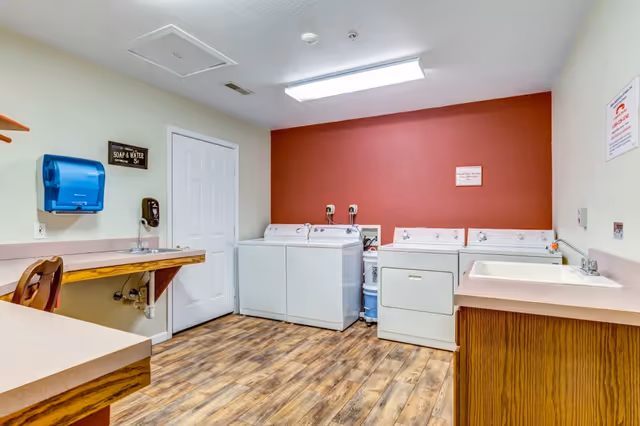Communal laundry room with washers, a dryer, utility sinks, folding counters, and wood-look flooring.