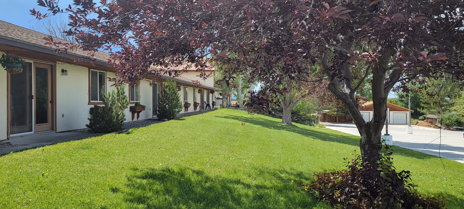 Green lawn and trees in front of a single-story row of residential units with doors and windows.