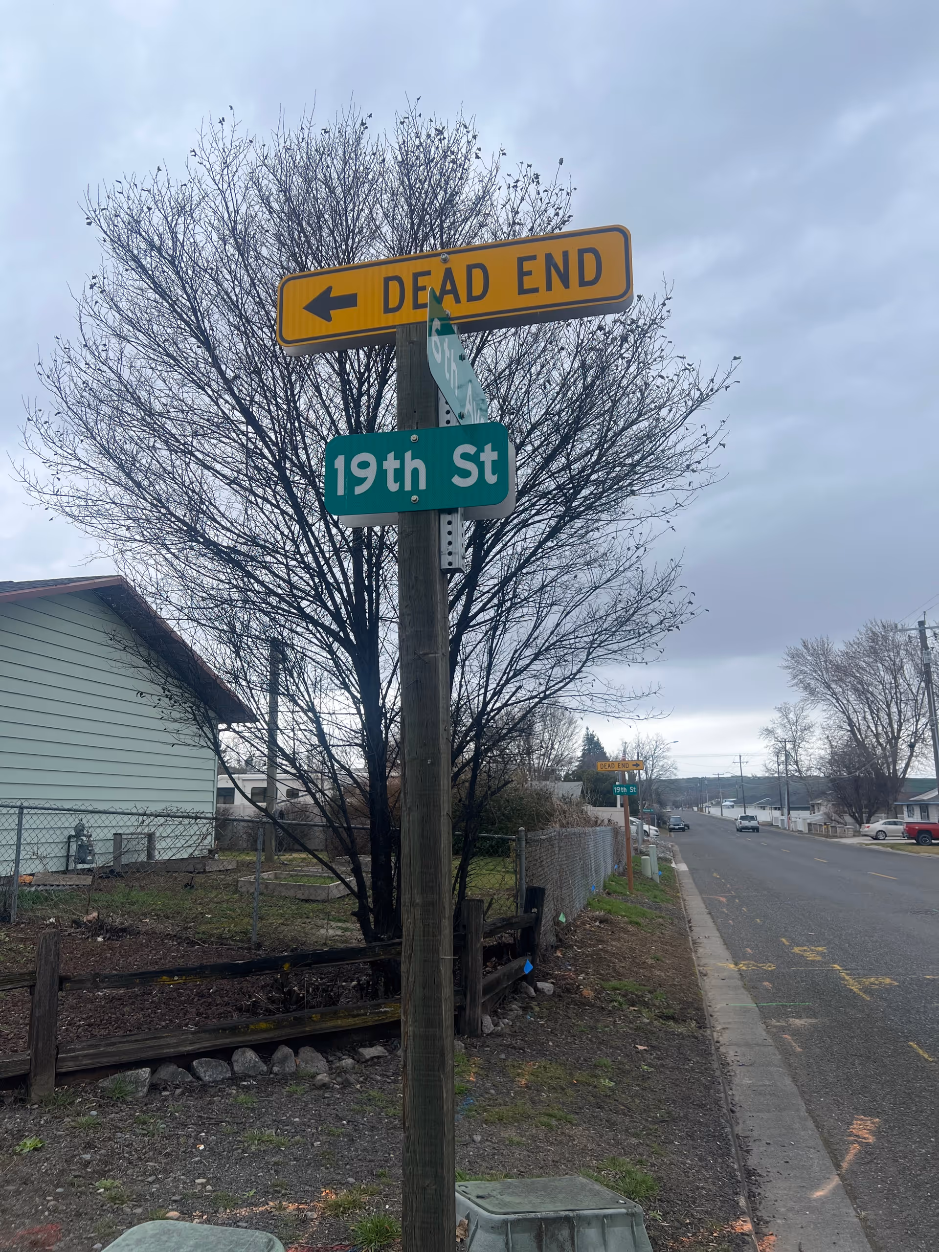 Yellow Dead End sign and green 19th St sign on a wooden pole beside a sidewalk.