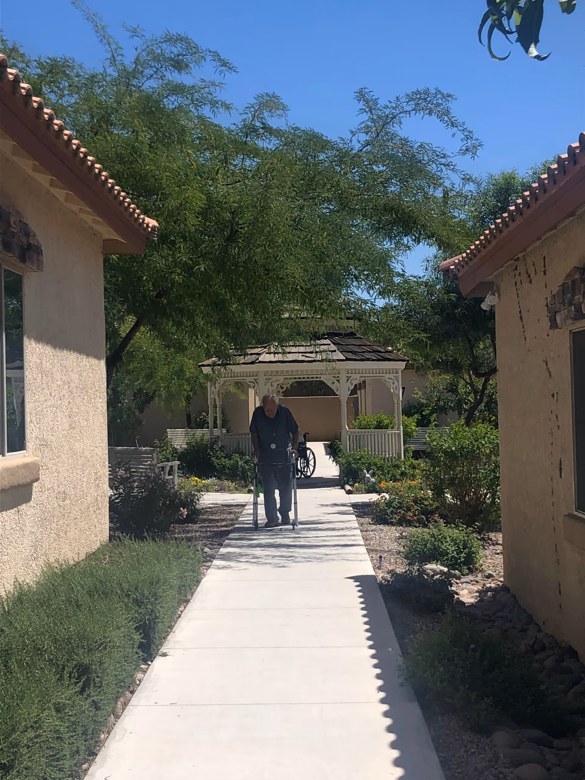 Elderly person using a walker walks along a sunny courtyard path between buildings.