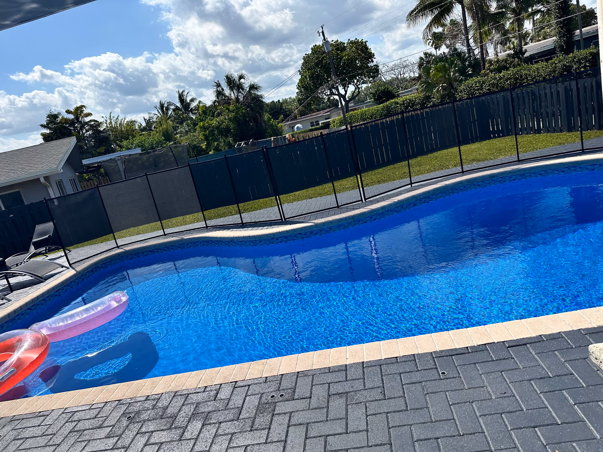 Outdoor pool area with blue water, fencing, lounge chairs, and palm trees.