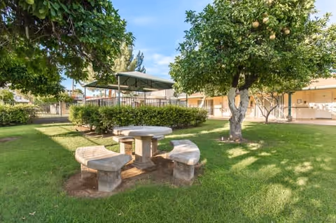 Outdoor garden area with a round concrete picnic table and curved benches on a grassy lawn, surrounded by trees and bushes, with a building and covered patio in the background under a clear blue sky.