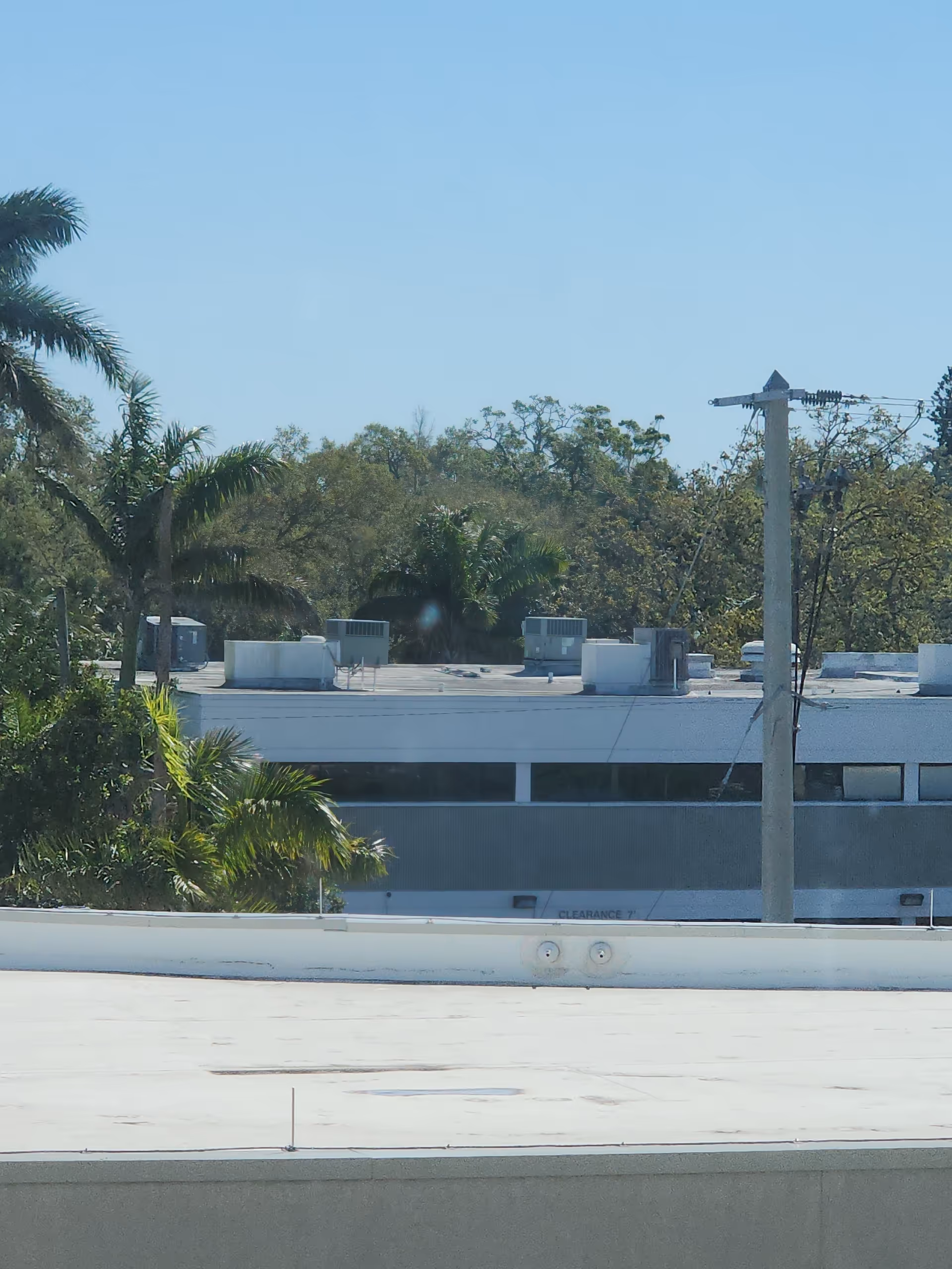 Rooftop view of a building with HVAC units, palm trees, and clear blue sky.