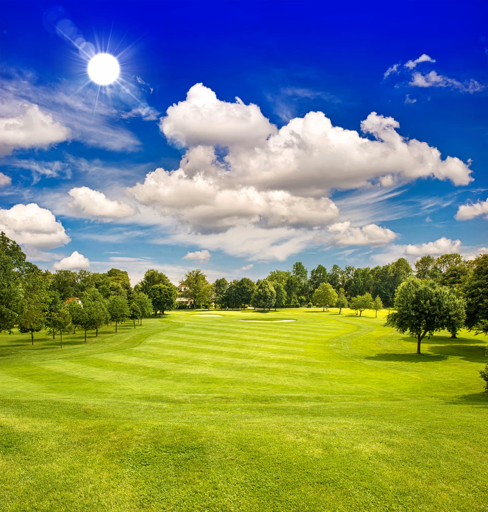 Sunny day over a green field with scattered trees and a bright blue sky.