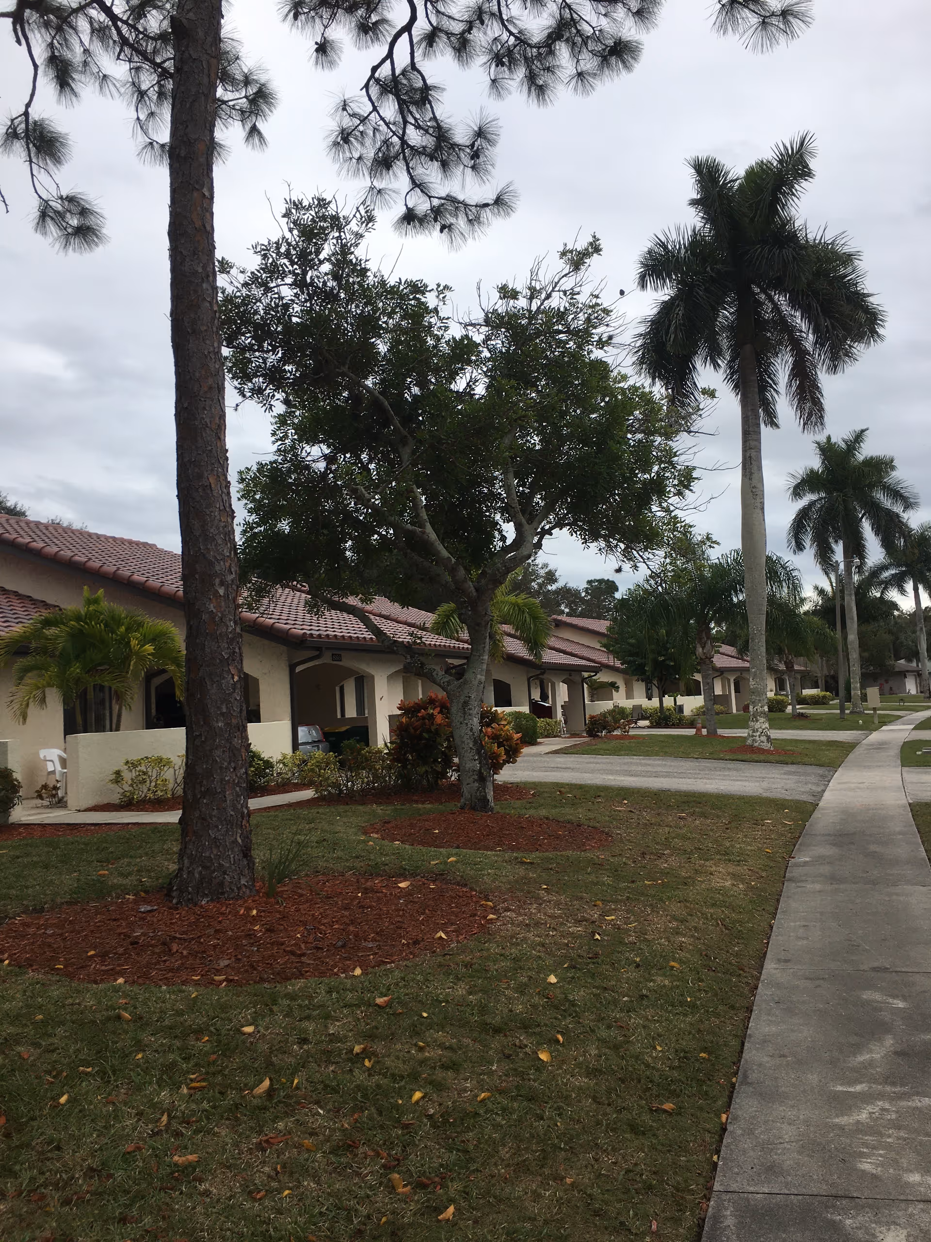 Row of single-story senior living units with tiled roofs, palm trees, and a sidewalk.