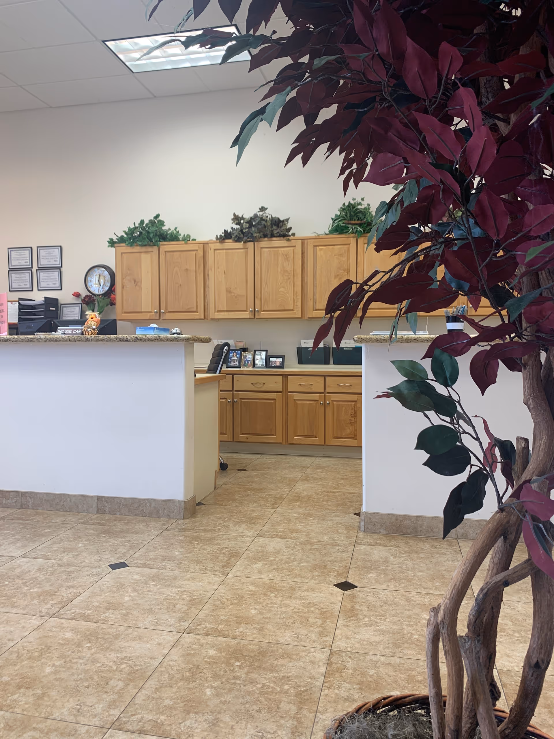 Indoor reception area with a front desk, wooden cabinets, and potted plants.