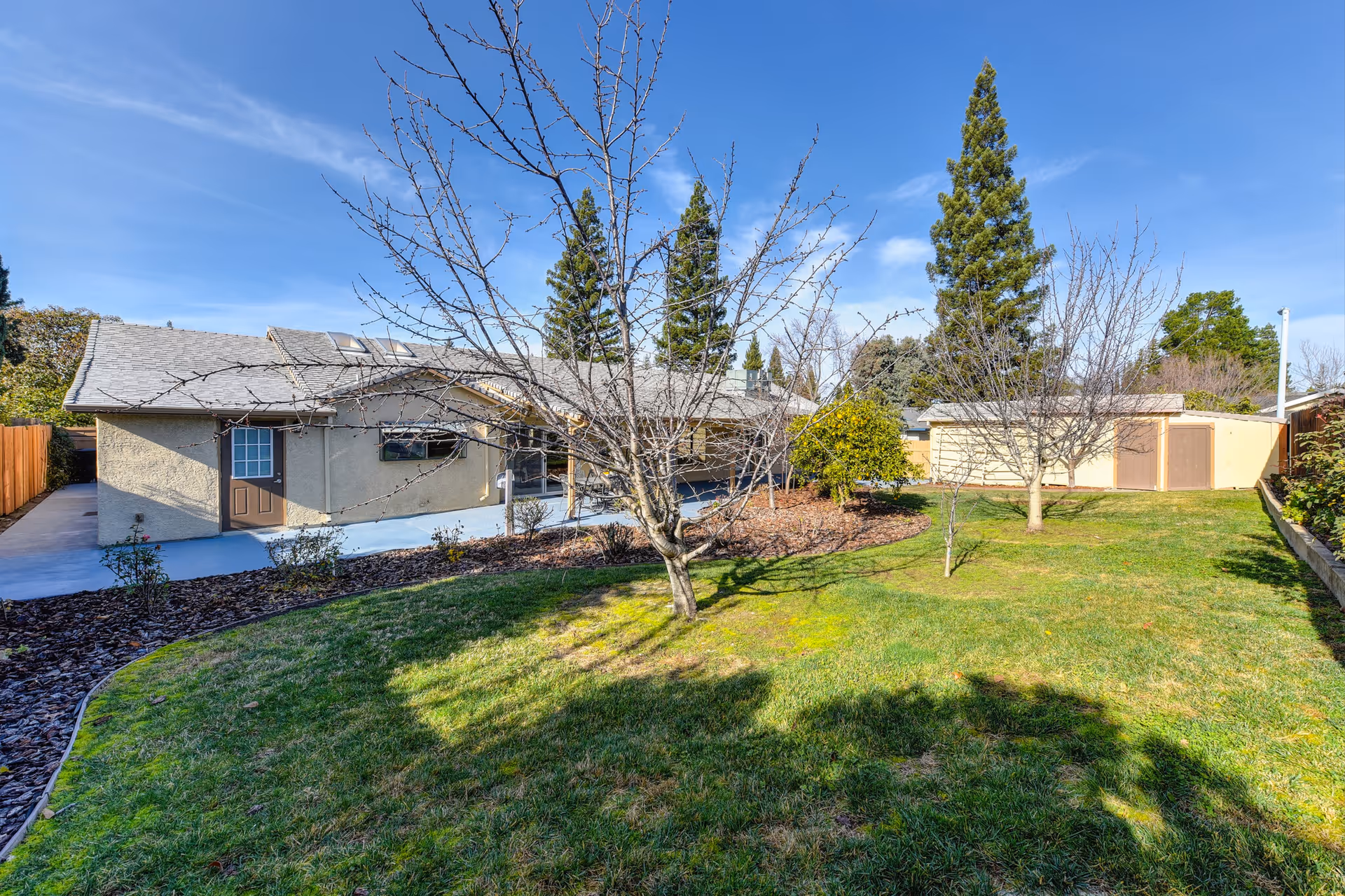 Sunny backyard with a grassy lawn, several leafless trees, and a single-story building and storage shed in the background.