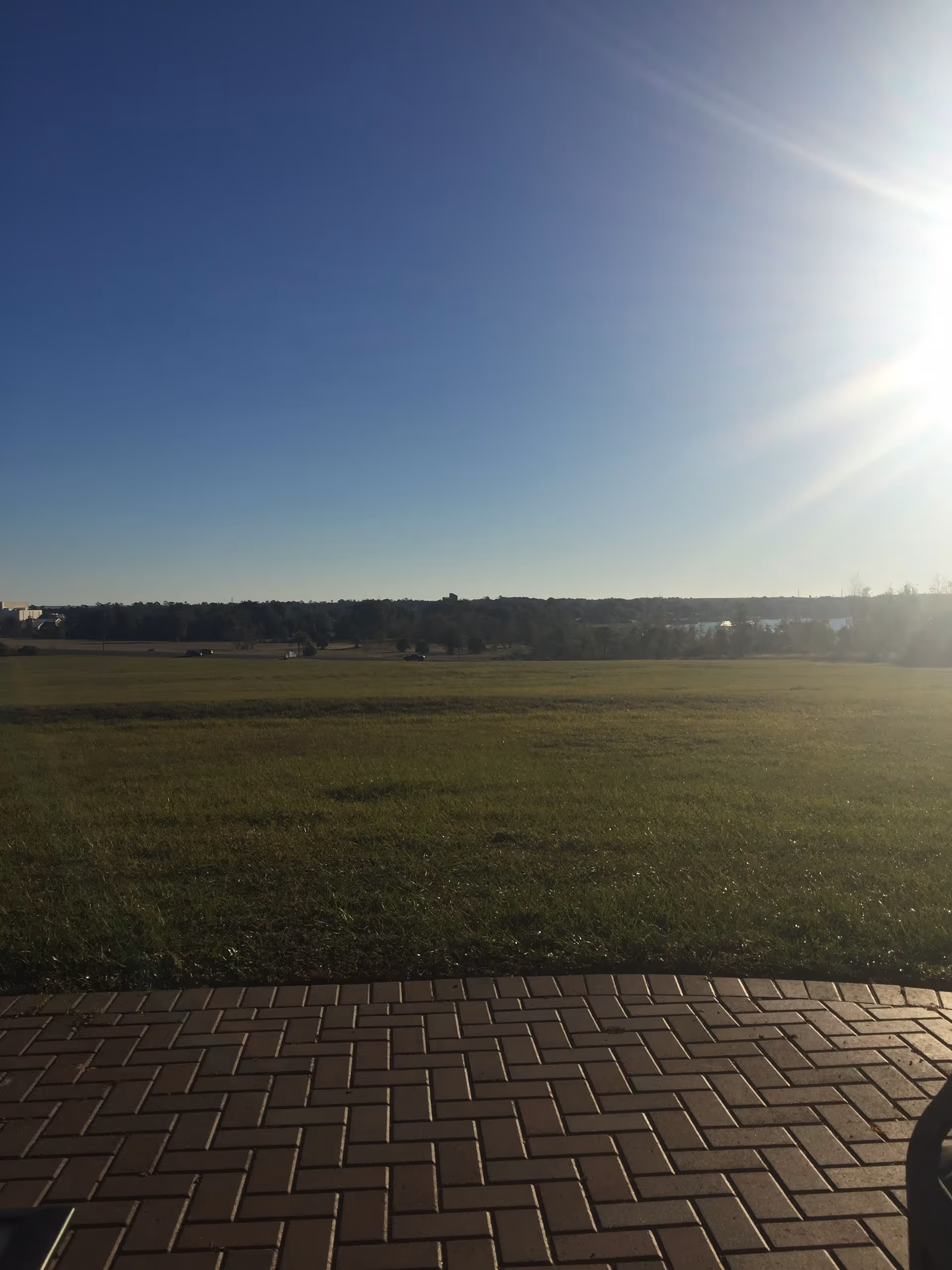 Open grassy field with a brick-paved foreground and bright sun in clear blue sky.
