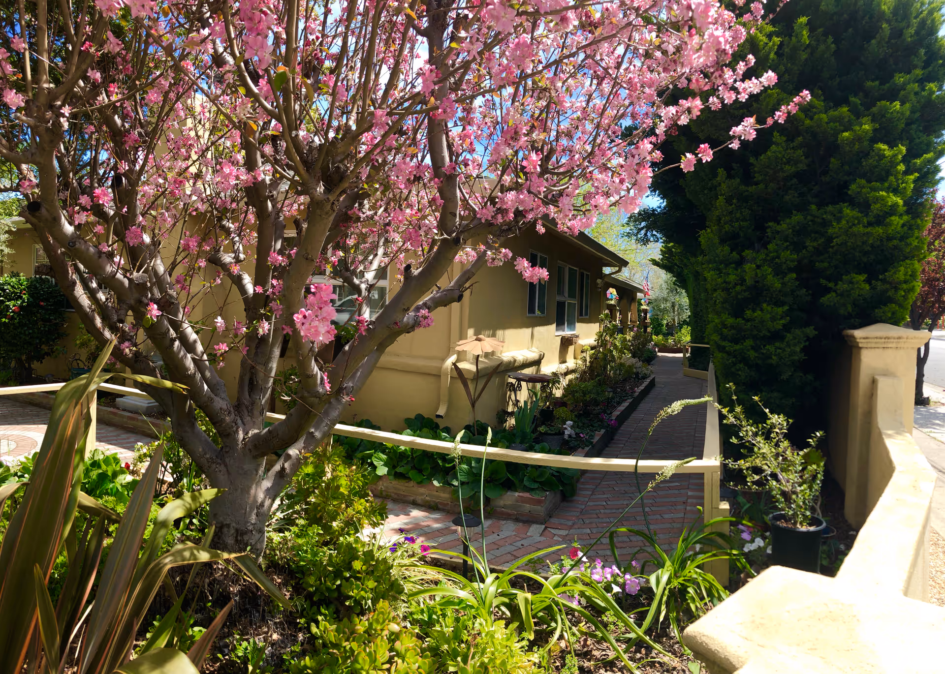 A garden area with a blooming tree featuring pink flowers in front of a beige building. There are various green plants and flowers along a brick pathway leading to the building entrance. The scene is sunny with a clear blue sky.