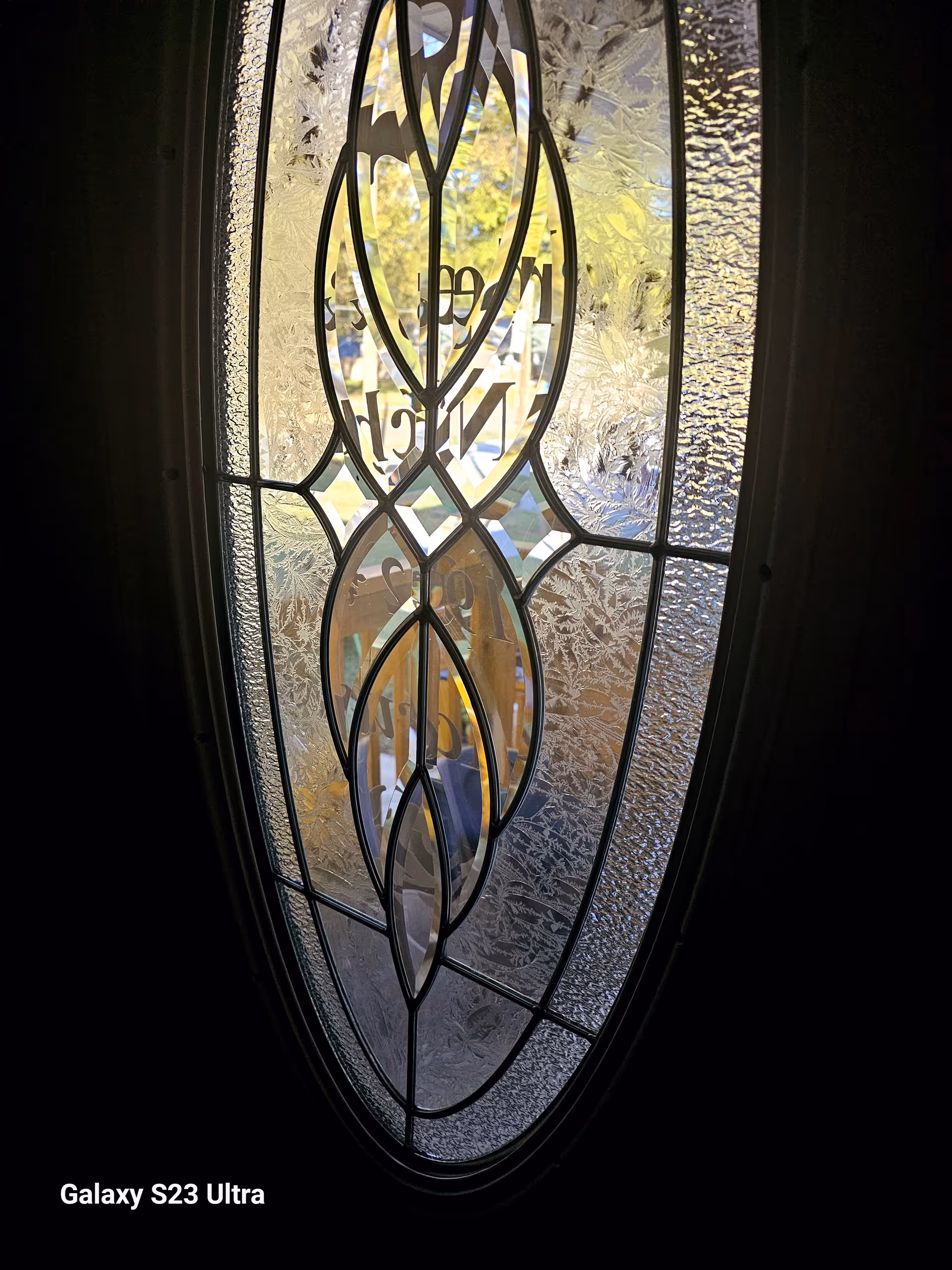 Close-up of an ornate frosted glass doorway with an intricate oval design.
