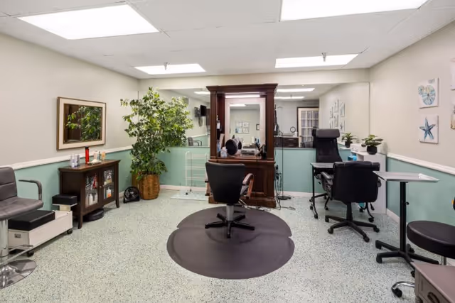 Interior view of a Wellspring Lutheran salon with chairs, mirrors, and a plant.