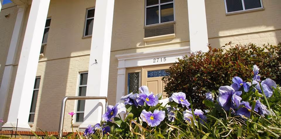Front entrance of a light-colored building with white columns and purple flowers in the foreground.