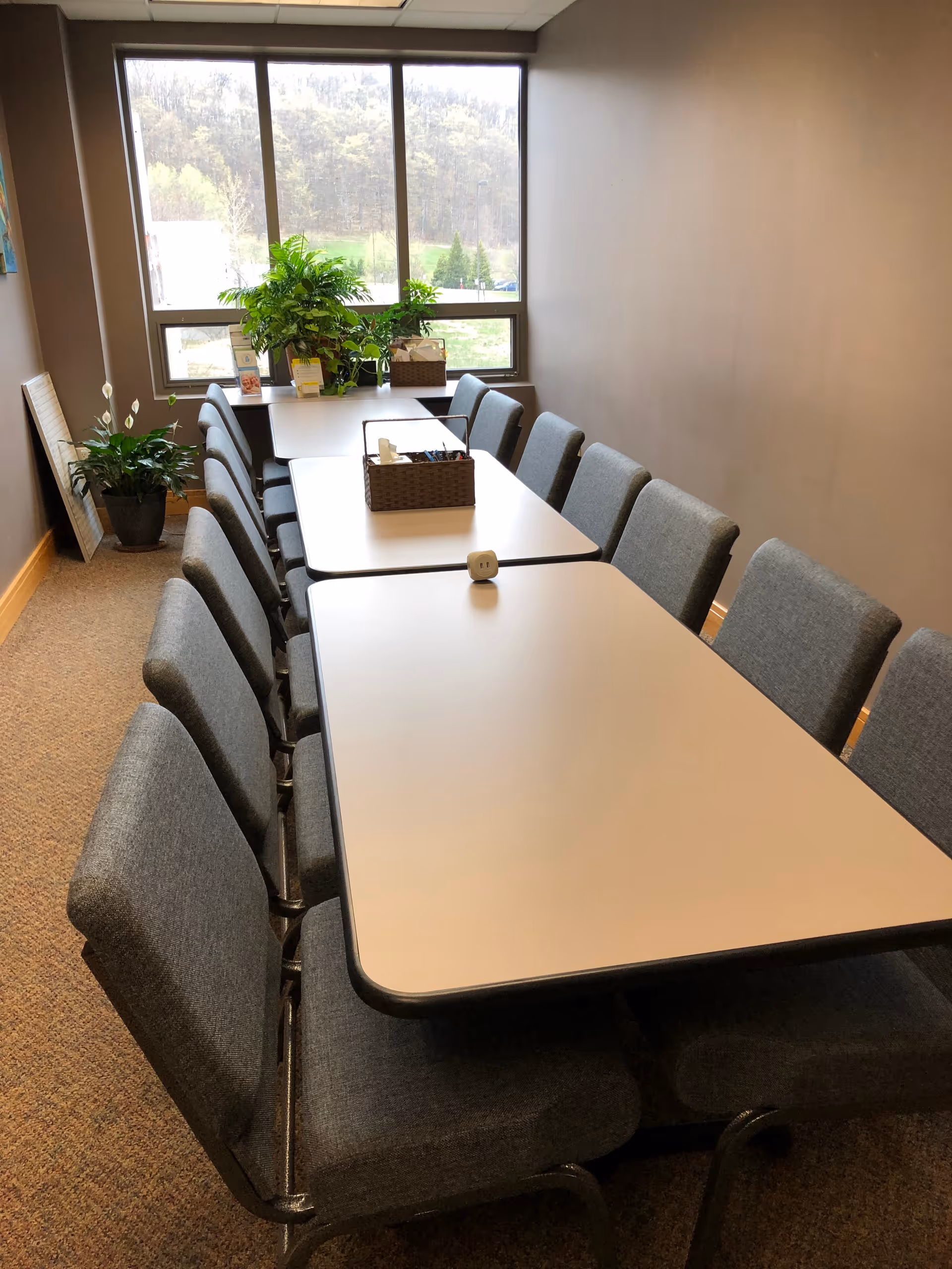 Long conference-style table with chairs in a bright interior room with plants.