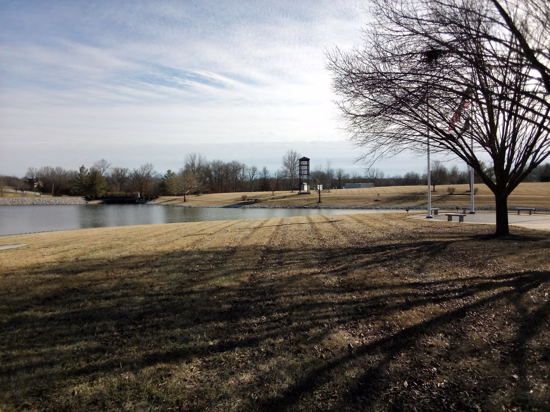 Open park-like waterfront with benches, trees, and a distant water tower under a blue sky.