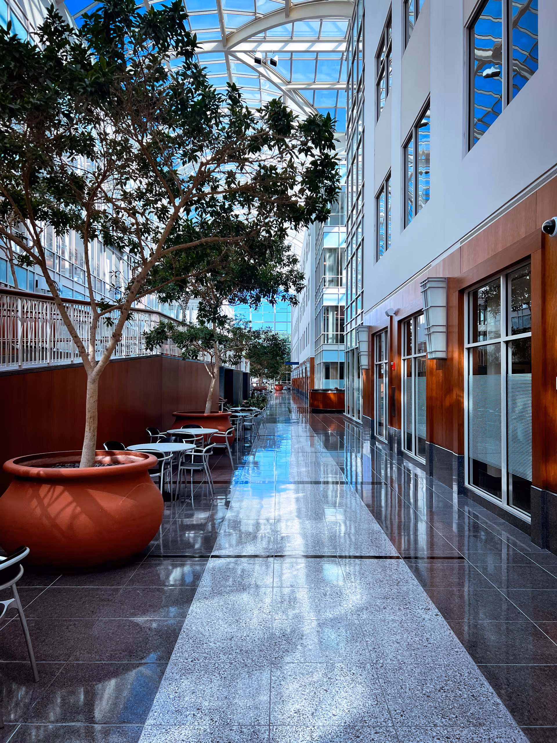 Bright glass-roofed corridor with potted trees, seating, and polished tile flooring.