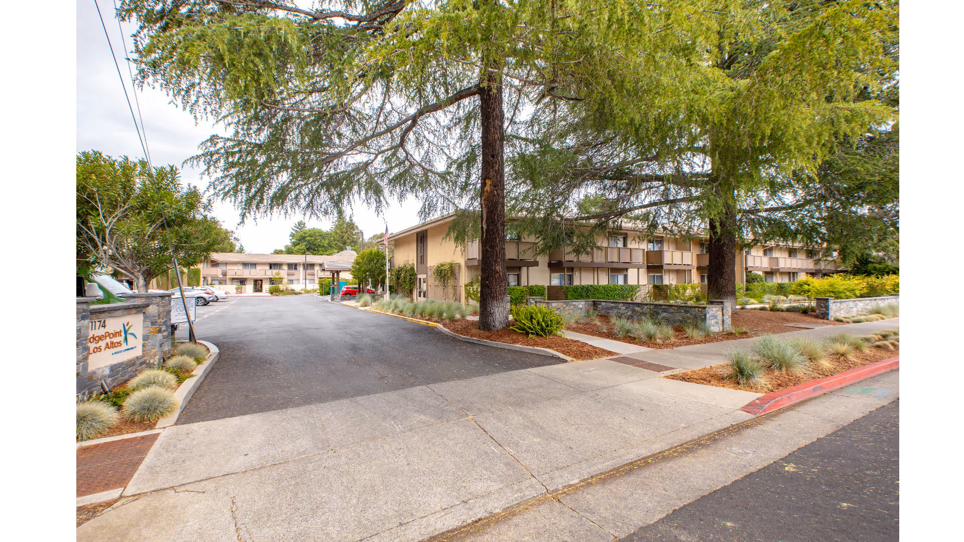 Exterior view of BridgePoint at Los Altos with driveway, signage, and trees.