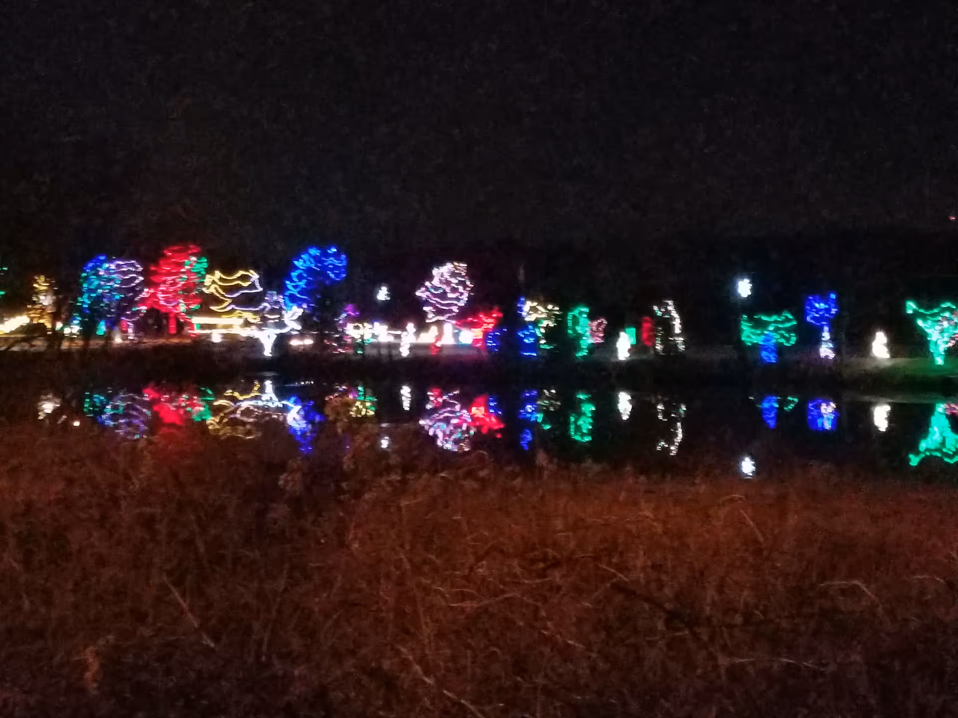 Nighttime view of colorful outdoor holiday lights reflecting on water.