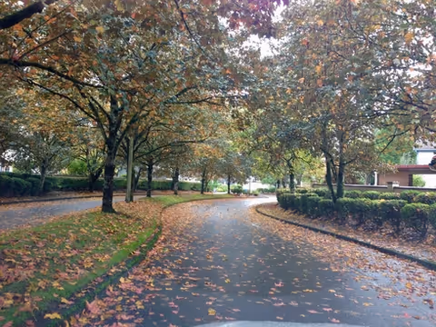 A tree-lined outdoor walkway on an autumn day at Magnolia Gardens Senior Care Home