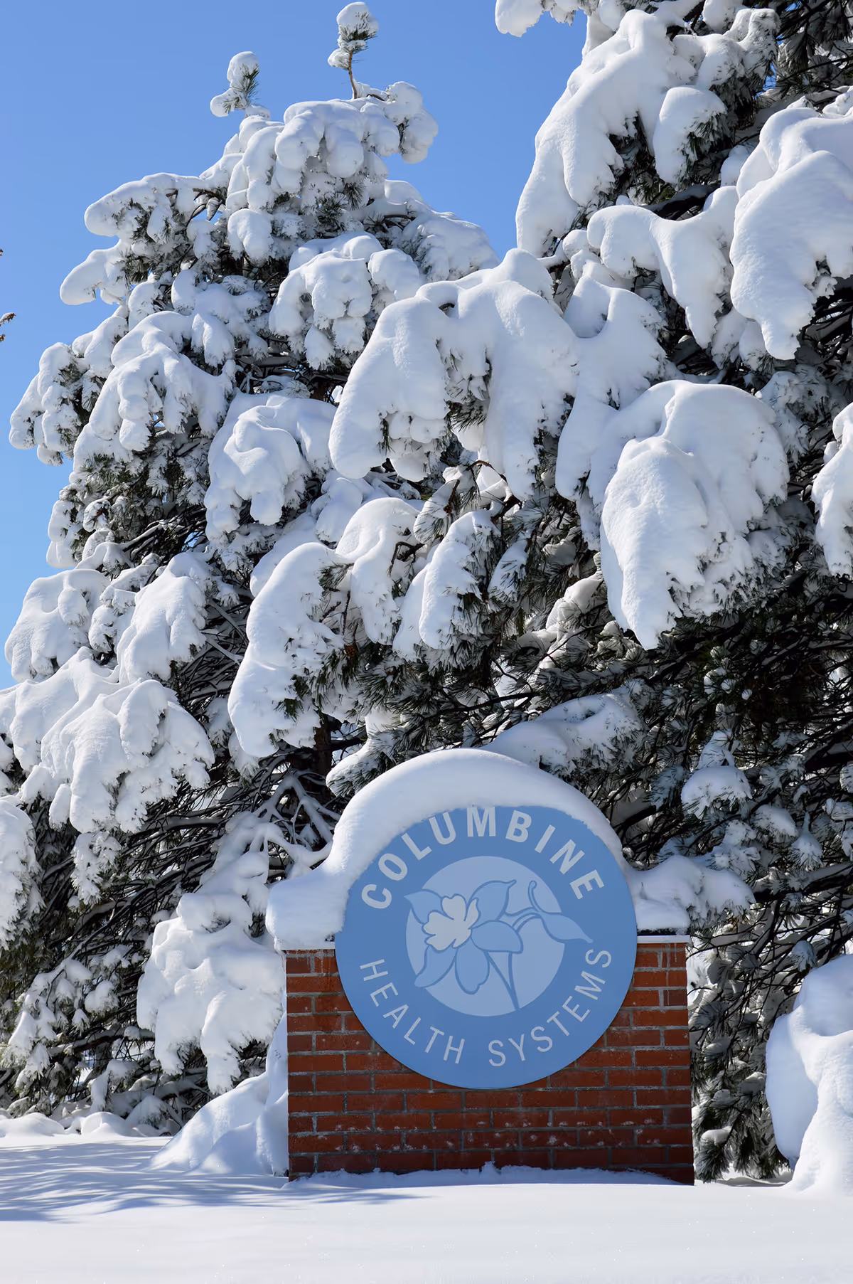 Snow-covered evergreen trees frame a brick sign reading Columbine Health Systems.