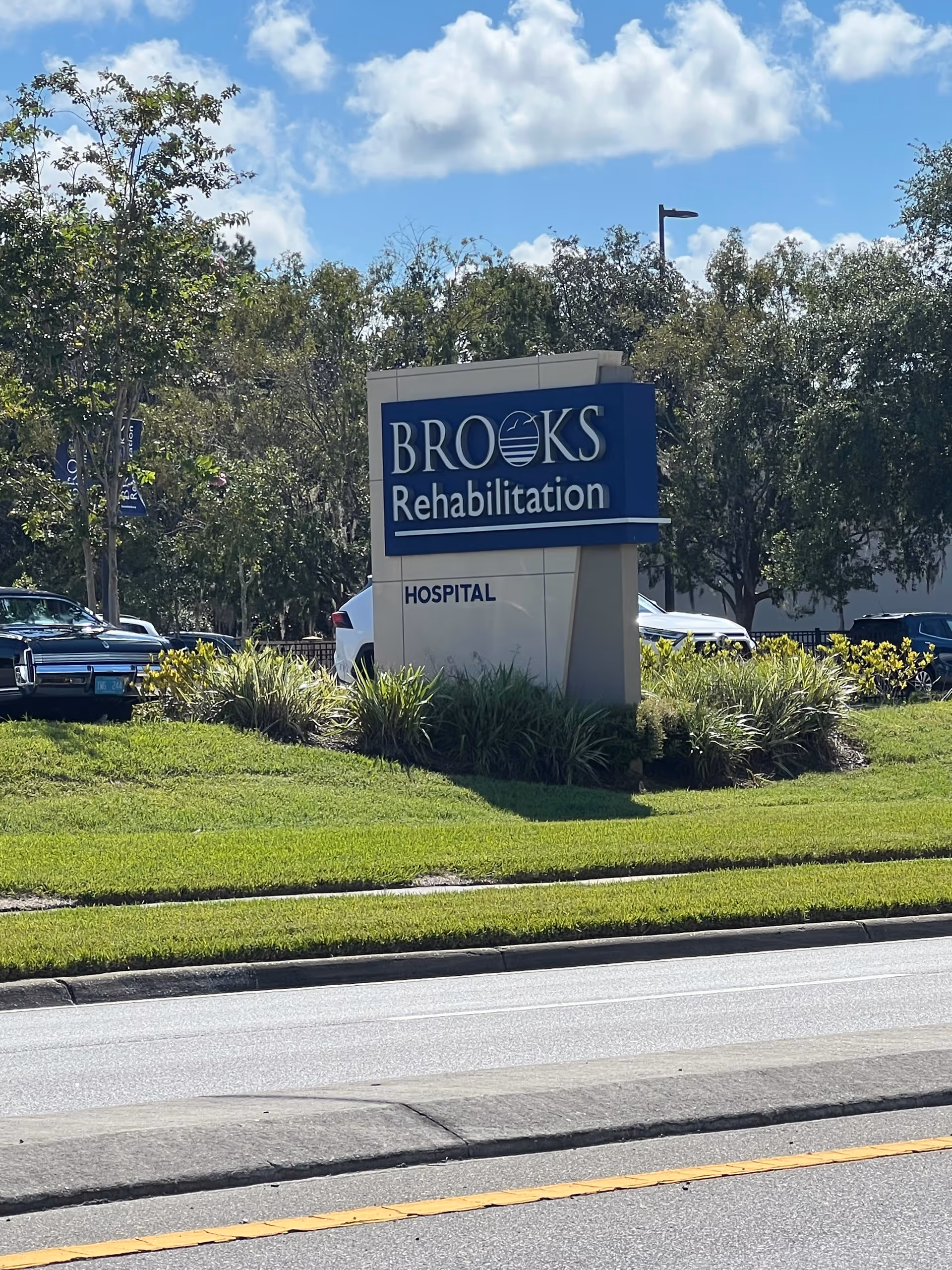 Blue Brooks Rehabilitation sign on a grassy median near a road.