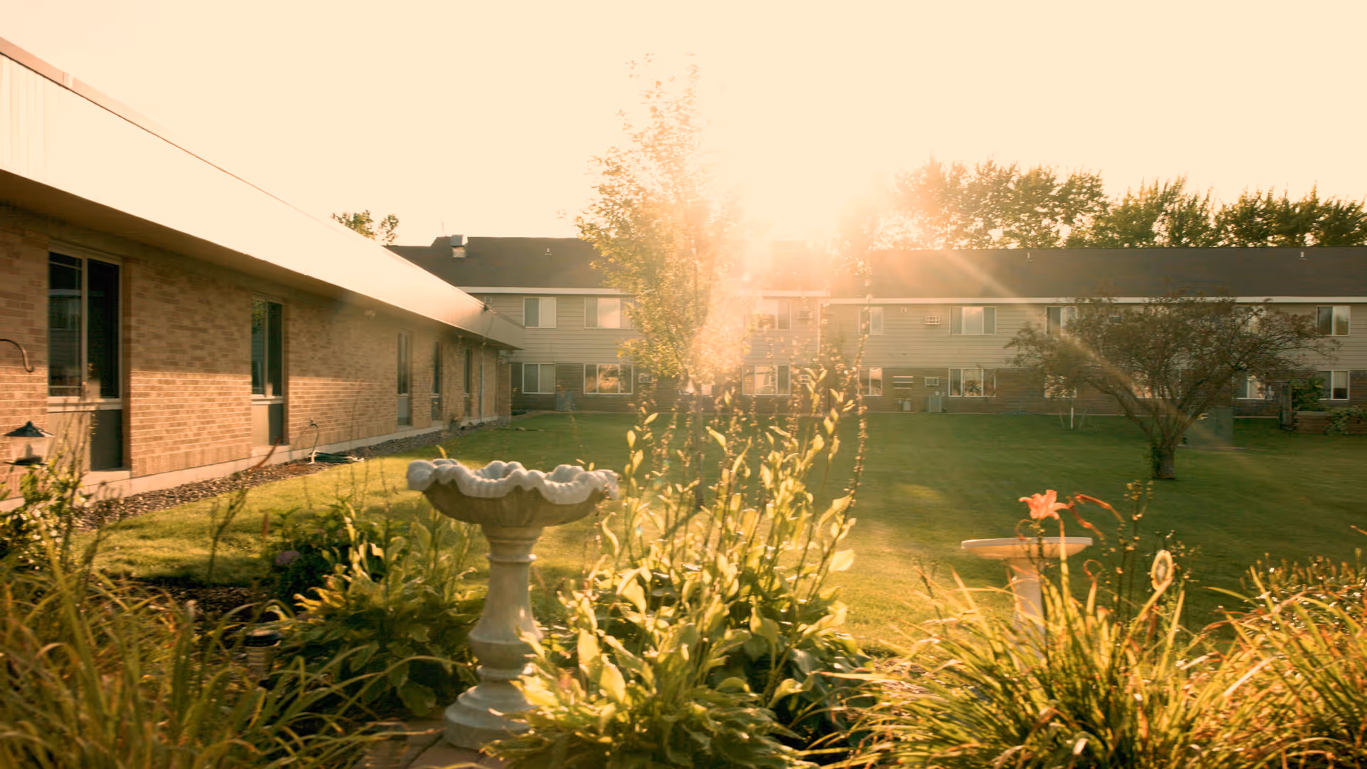 Sunlit garden area with green plants and a birdbath in the foreground, surrounded by a grassy lawn and buildings in the background under a bright sky.