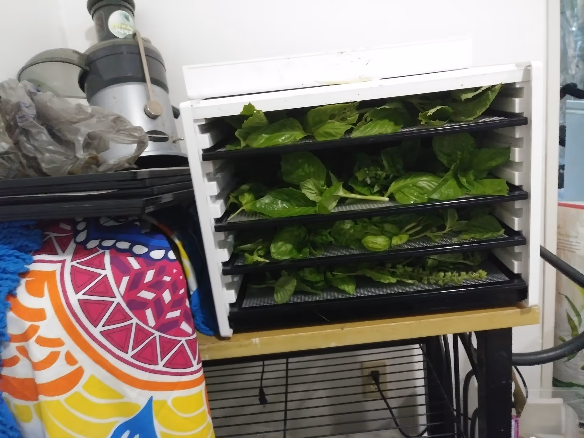 A white multi-tier dehydrator filled with leafy greens sits on a kitchen cart.