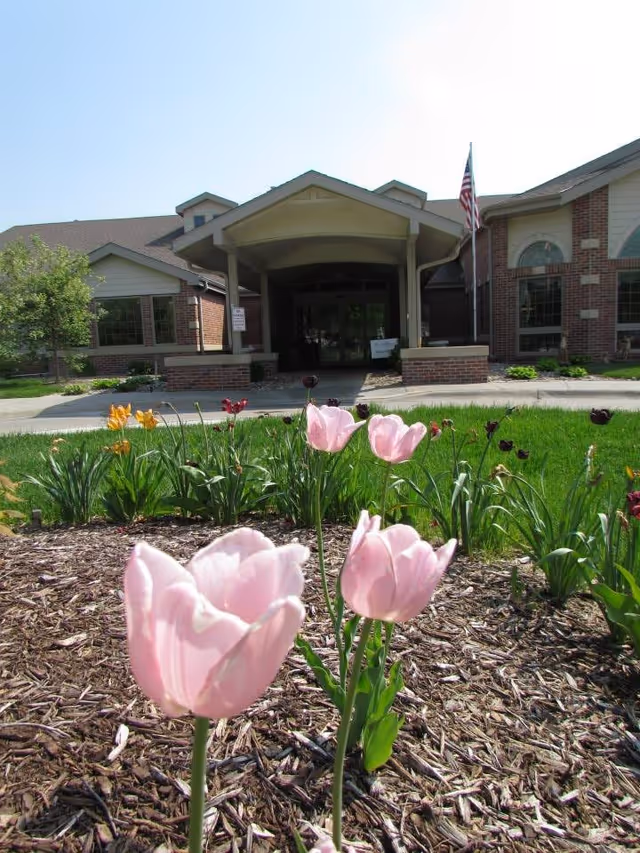 Close-up view of pink tulips and other flowers in a garden bed with mulch in front of the entrance to a brick building with a covered porch and an American flag on a pole.