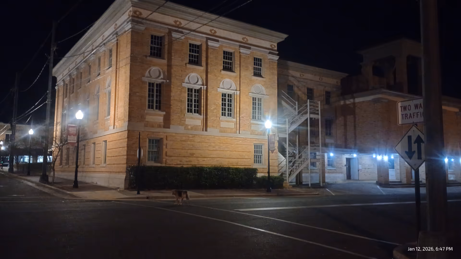 Night view of a brick building on a street with streetlights and a dog nearby.