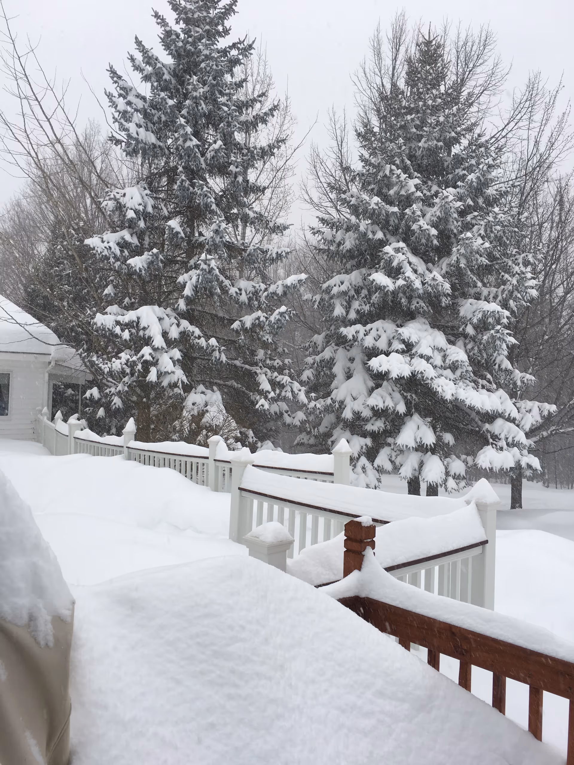 Snow-covered outdoor deck with white railing and evergreen trees at Oakridge Family Type Home for Adults.