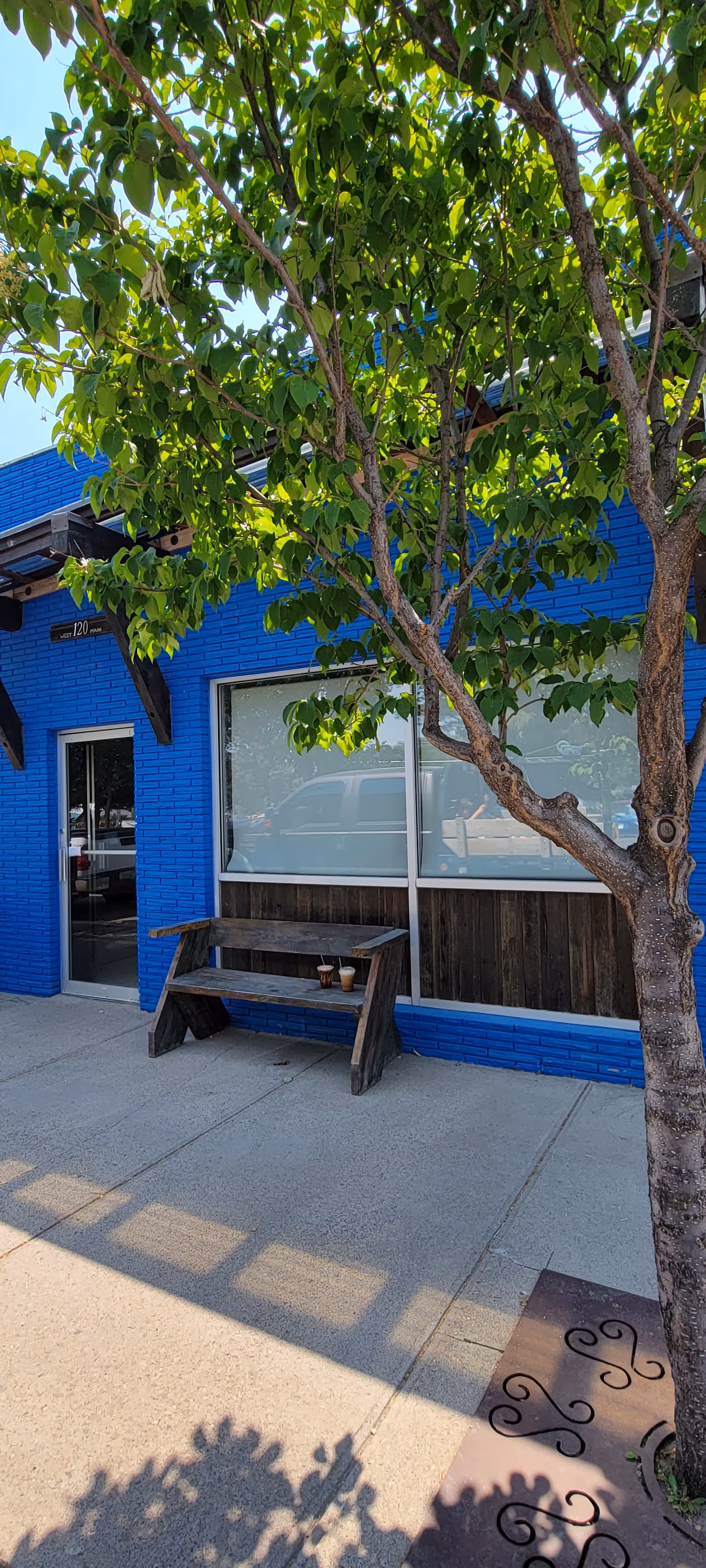 Blue brick storefront of Tree of Life facility with a wooden bench under a leafy tree.