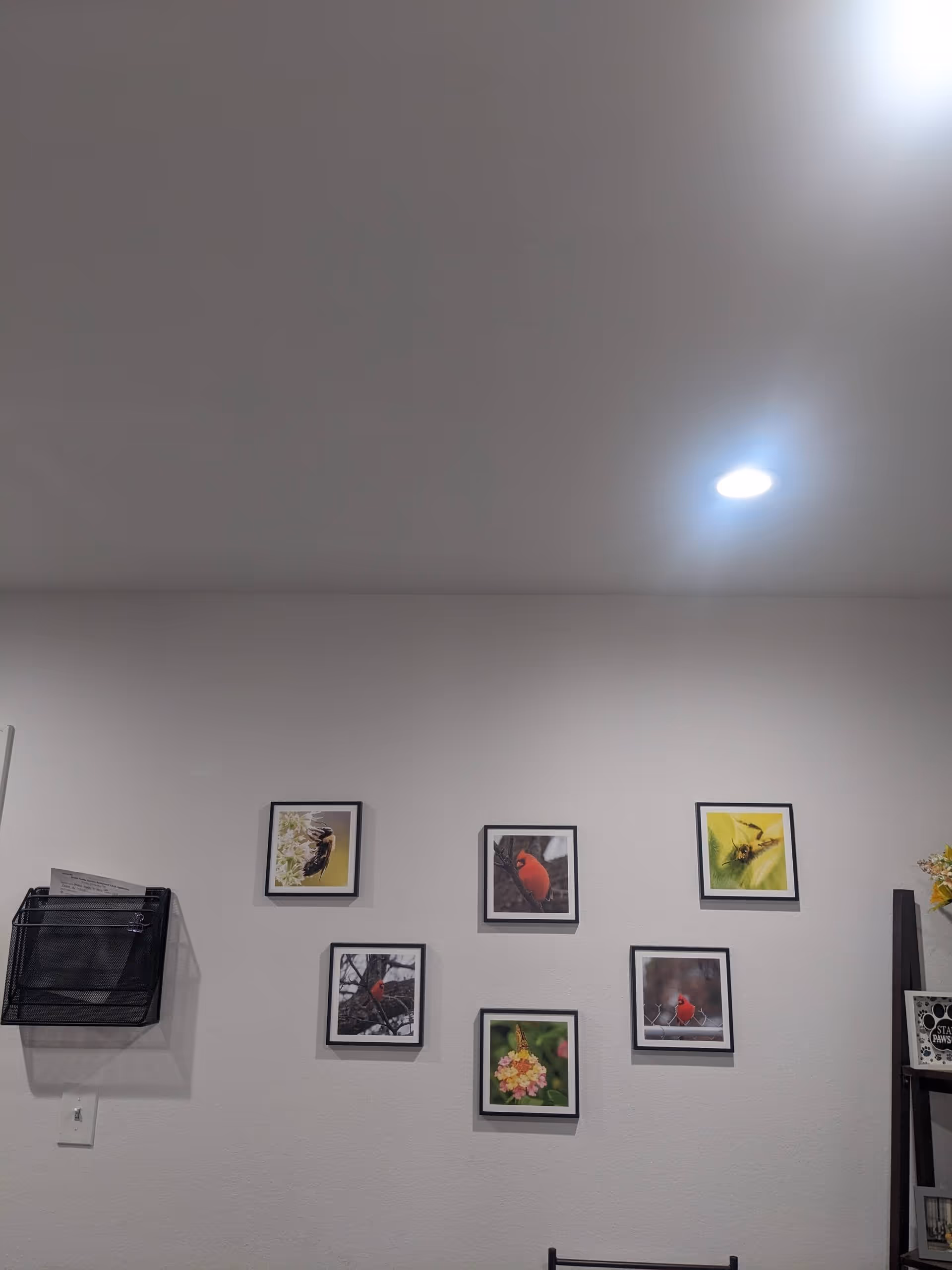 Interior wall with framed bird photos and a wall-mounted magazine rack.